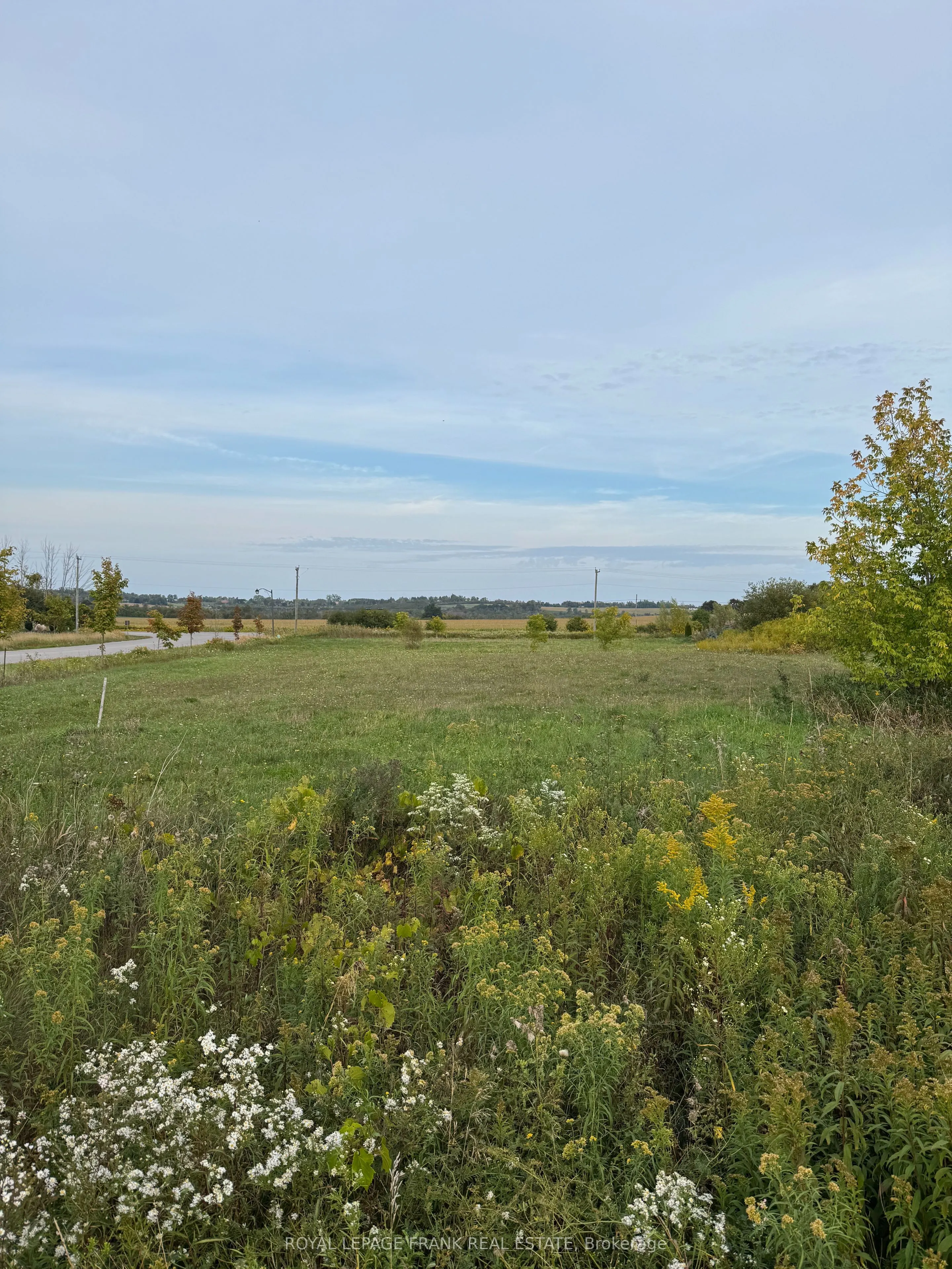 1 Bagshaw Crescent