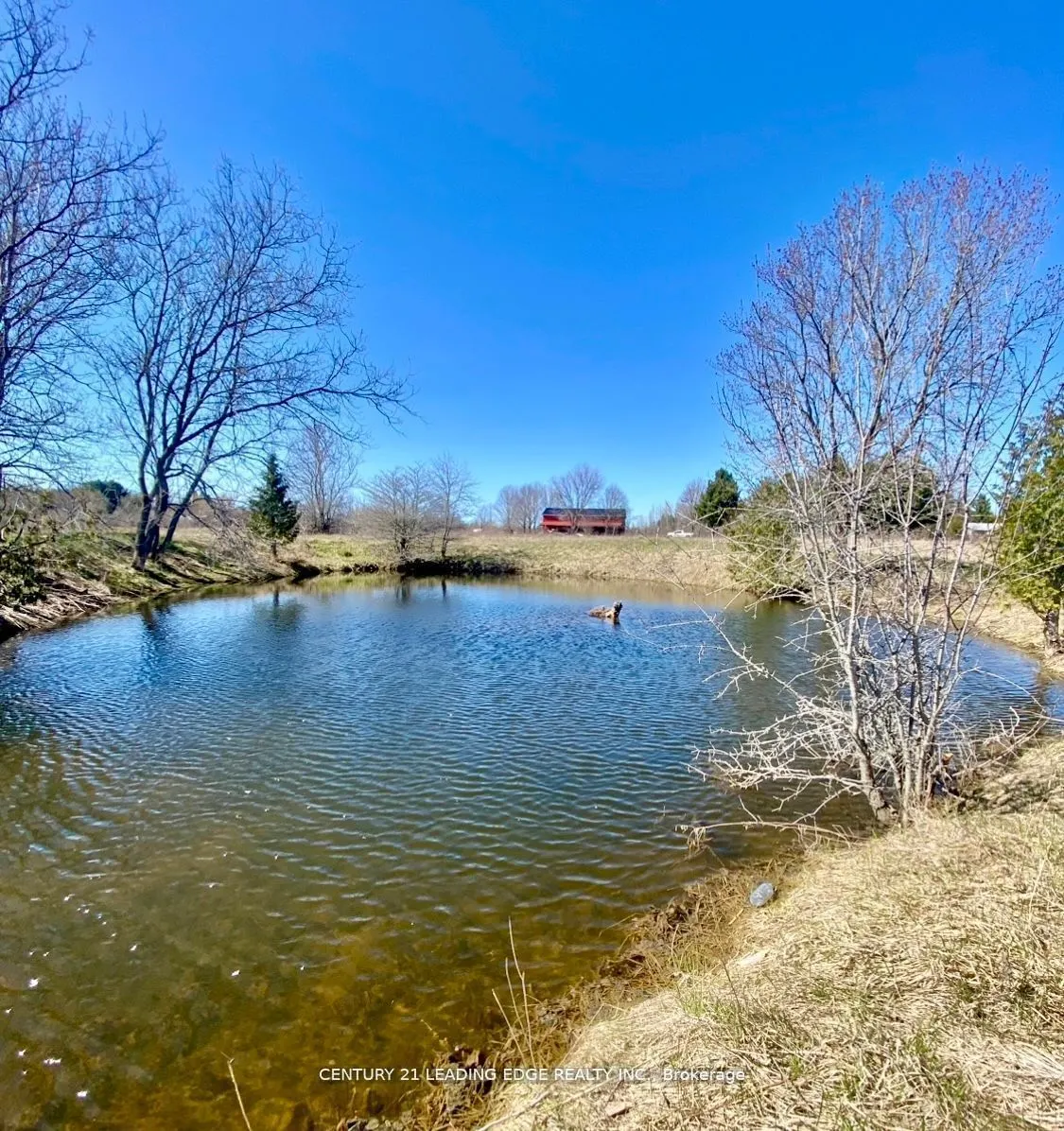 1860 B Thorah Concession 11