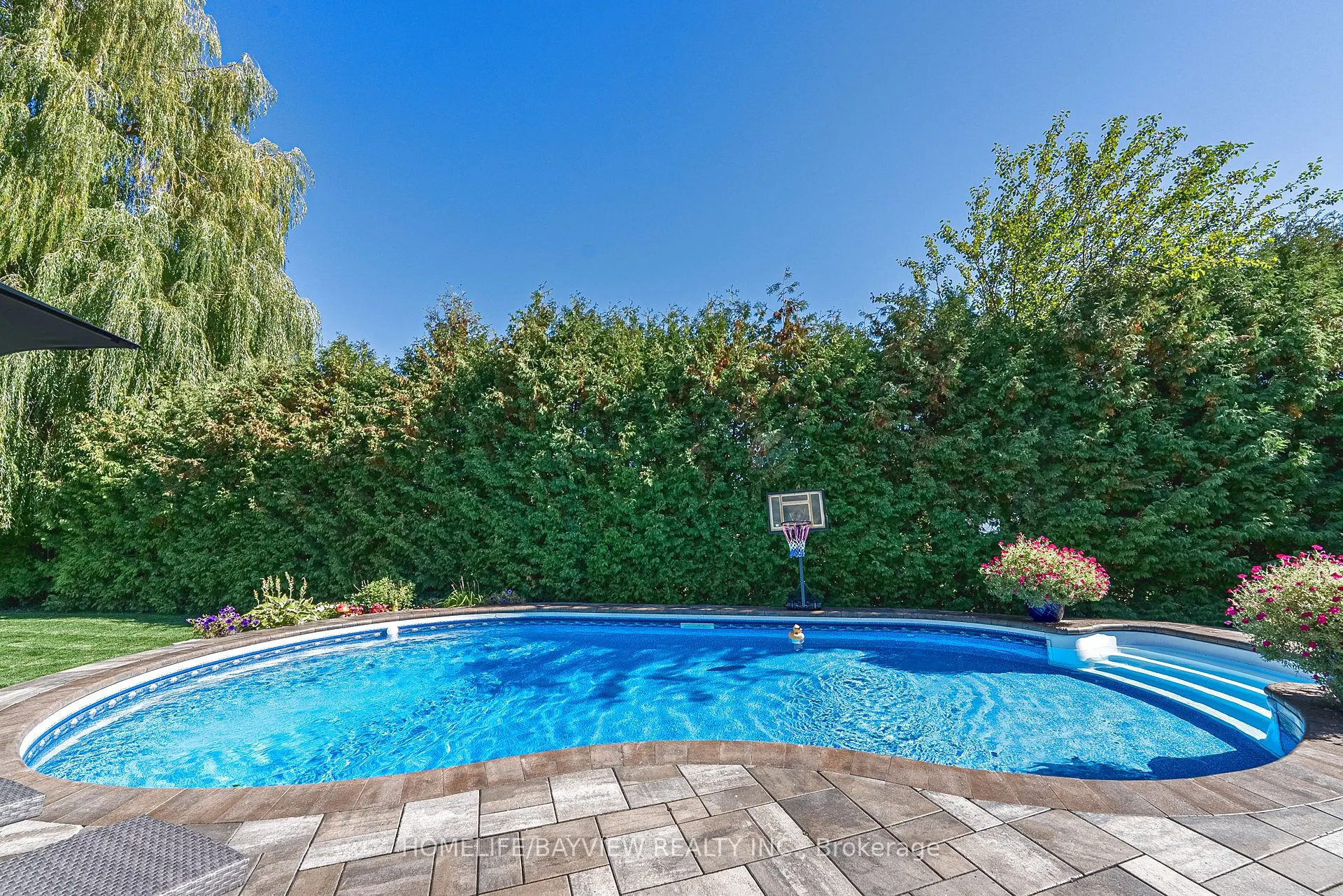 11 Cantex Court