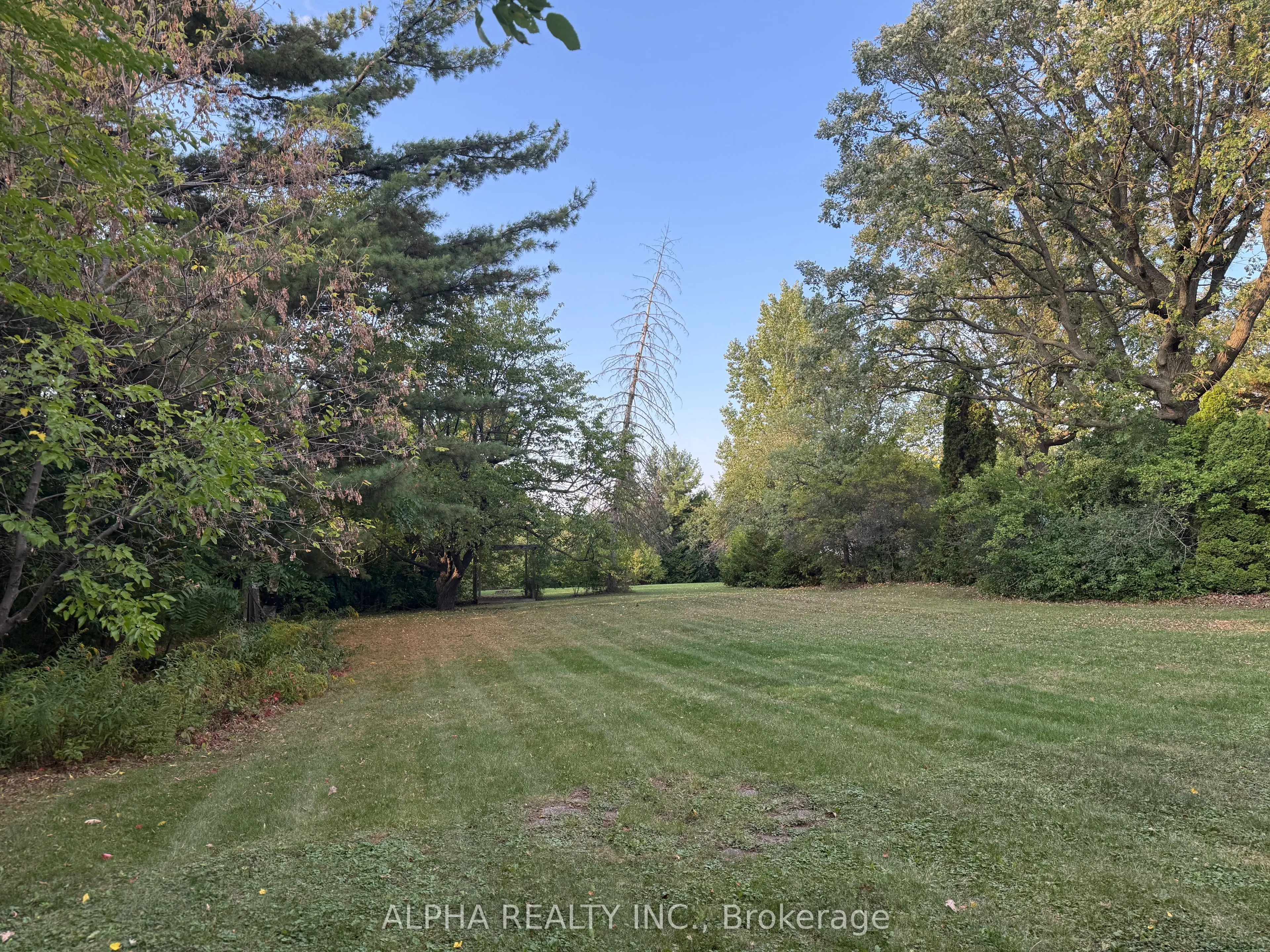 66 Roosevelt Drive
