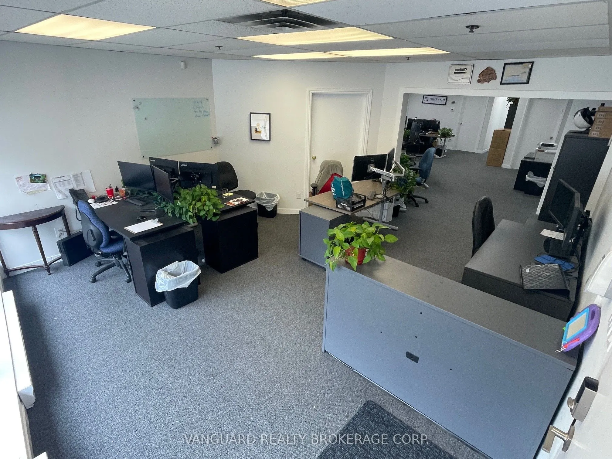 231 Millway Avenue, #18