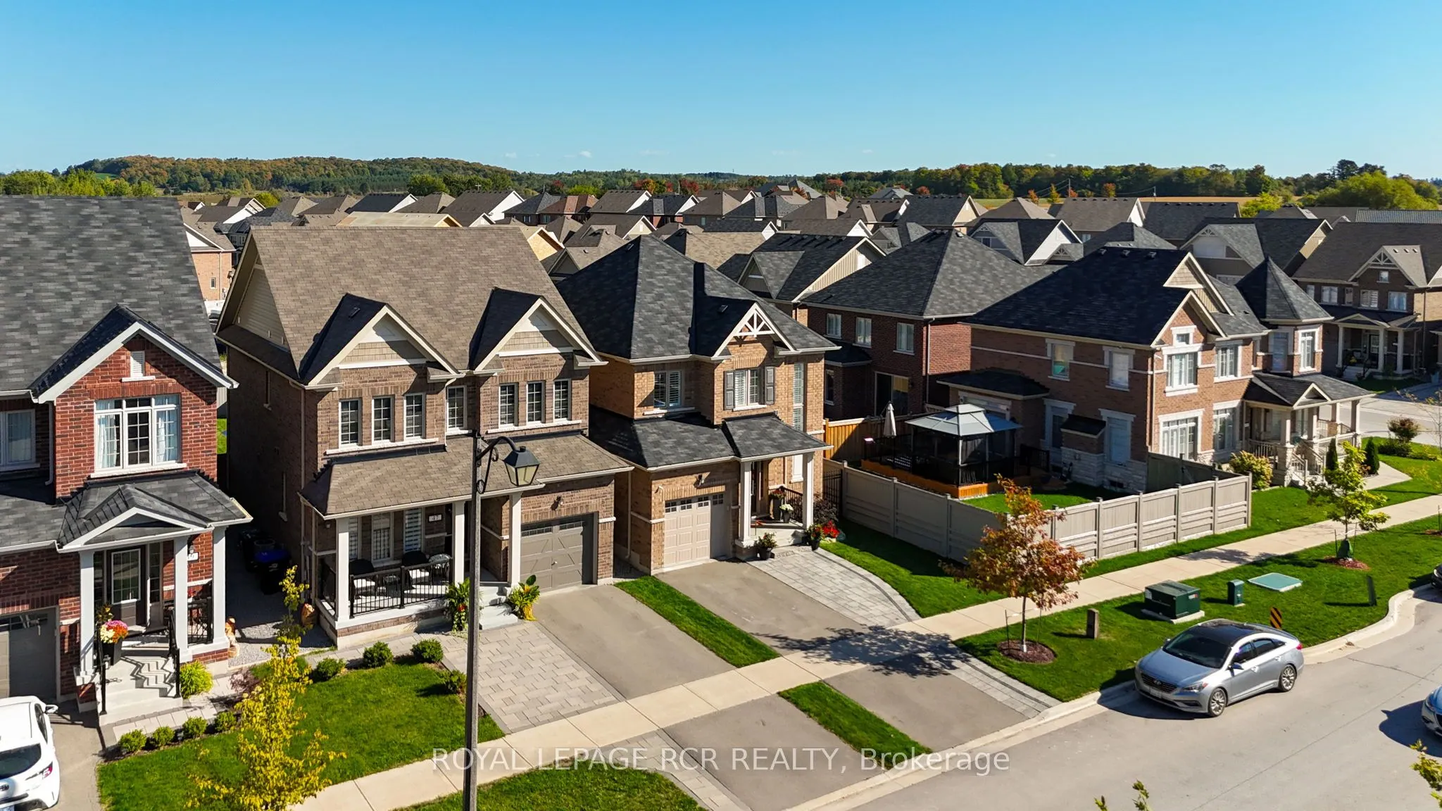 45 Martin Trail