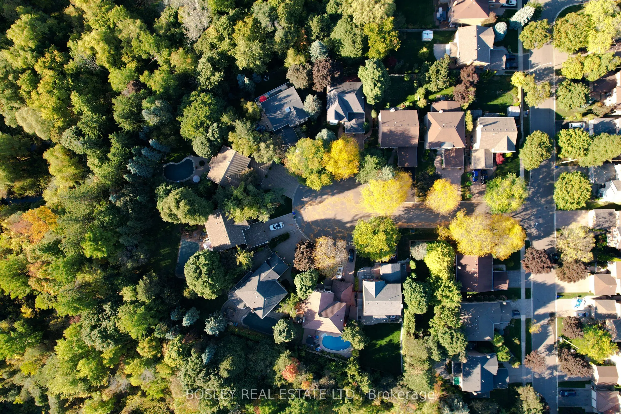 8 Roverdale Court