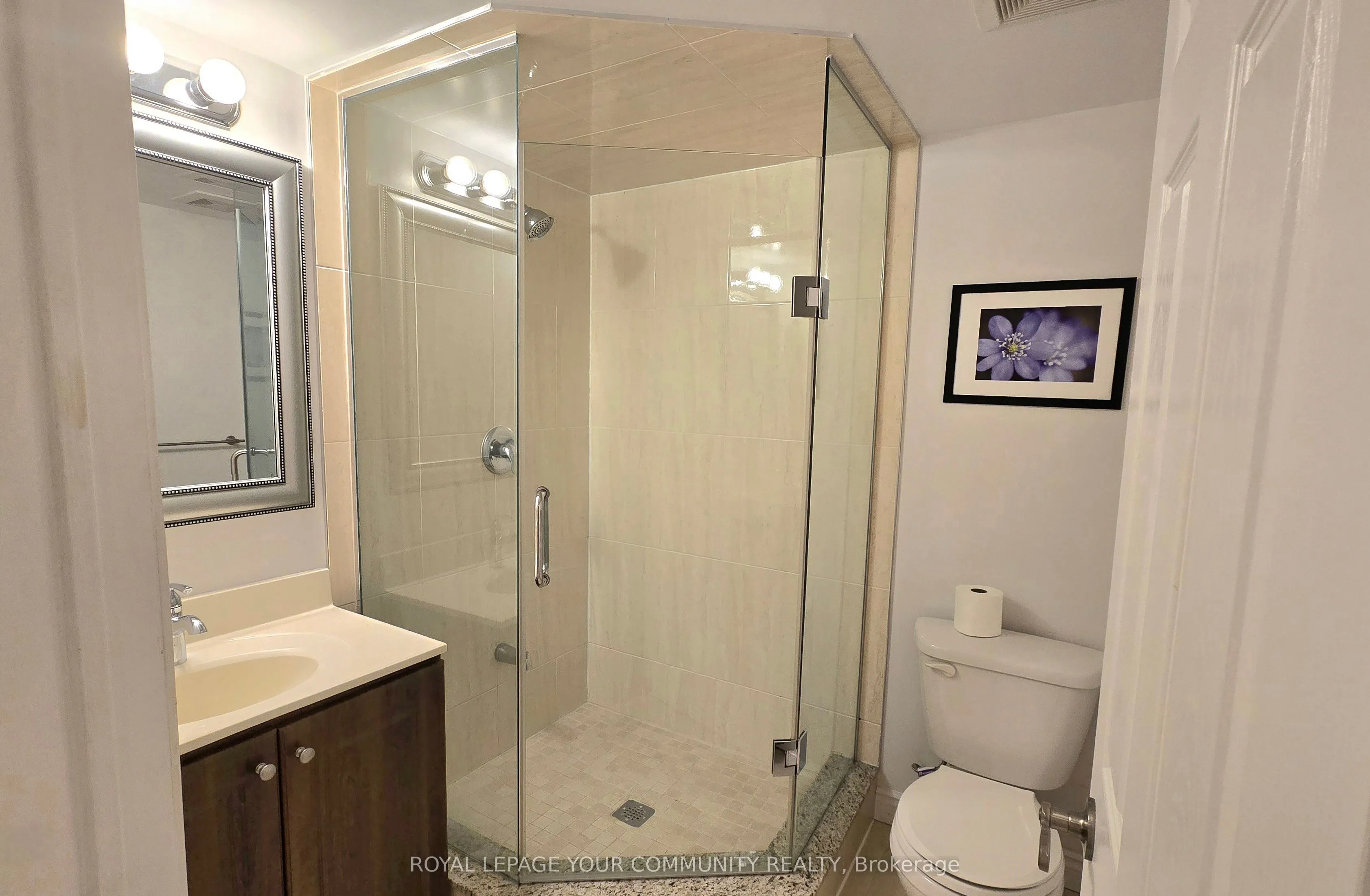 20 Seiffer Crescent, #Lower