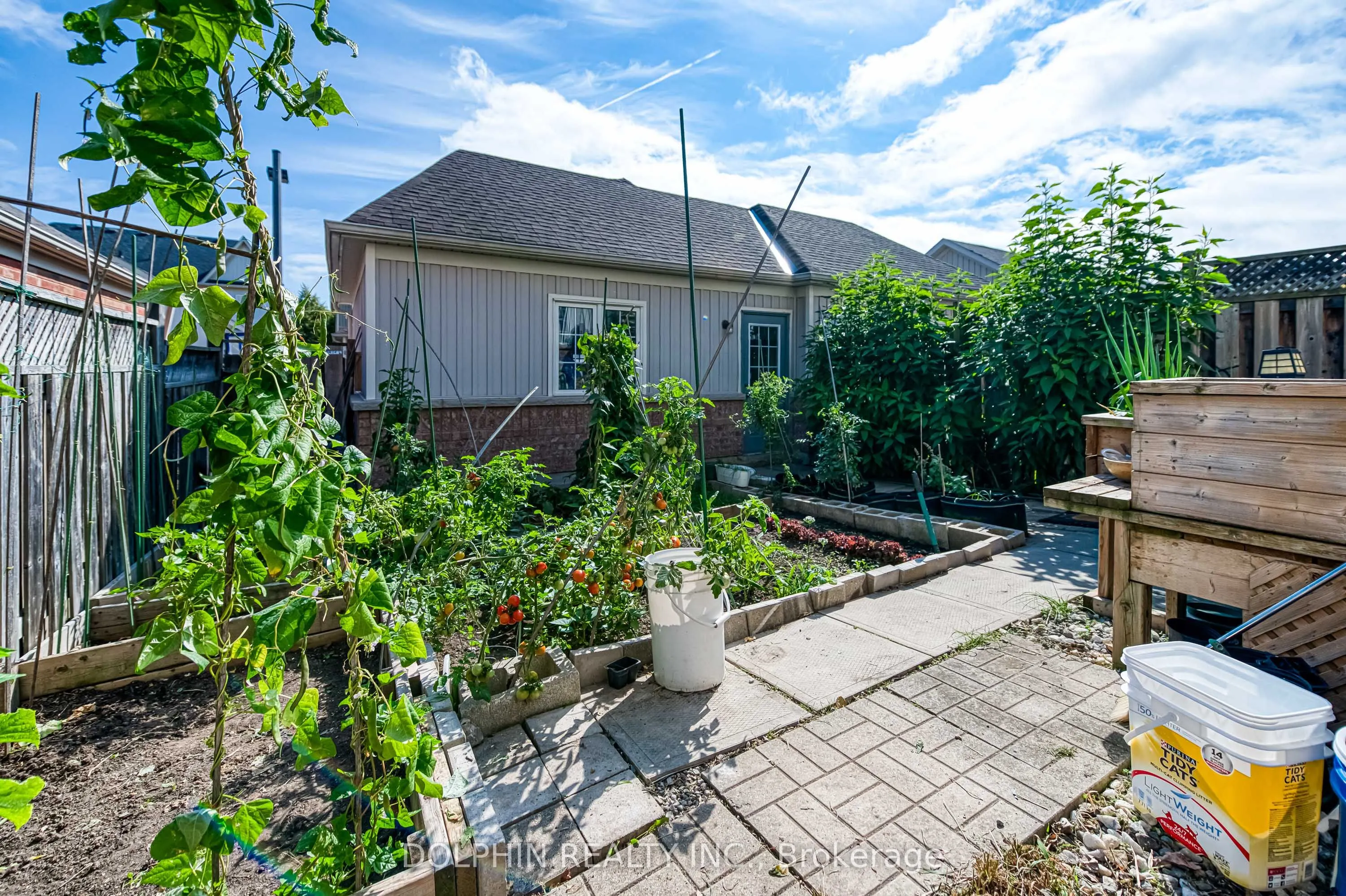 13 Cardrew Street