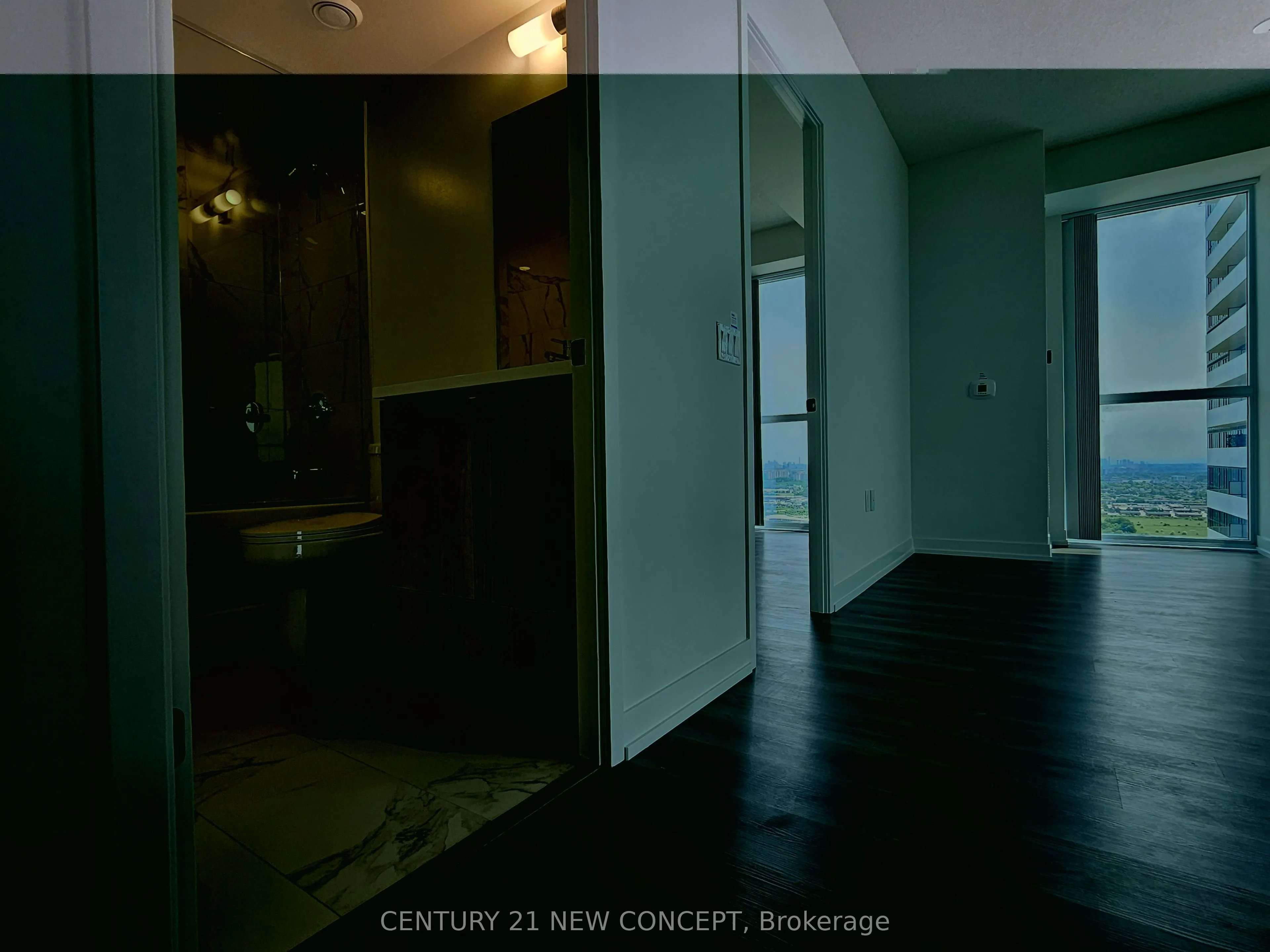 225 commerce Street, #4106