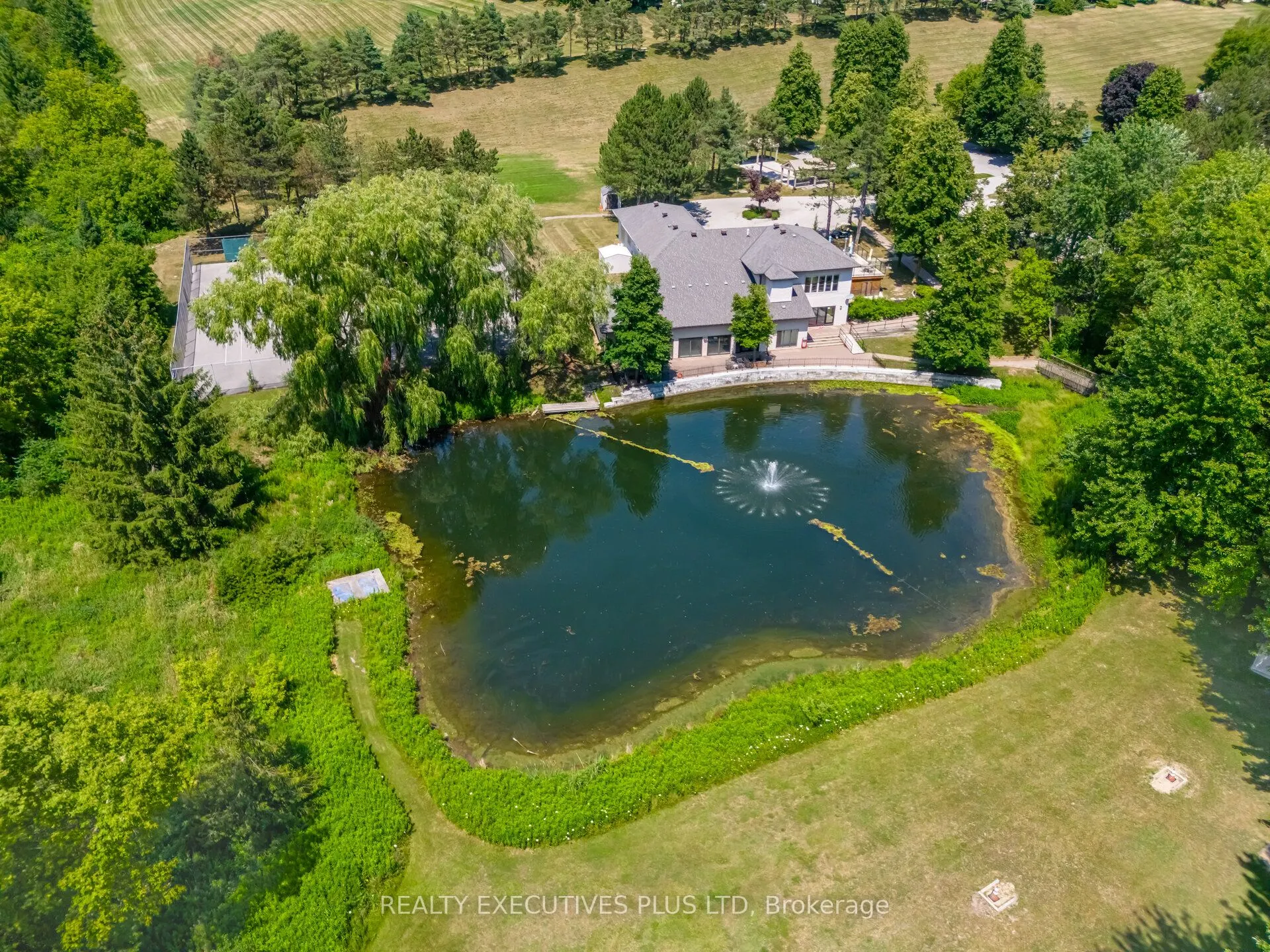 3 Pineview Court