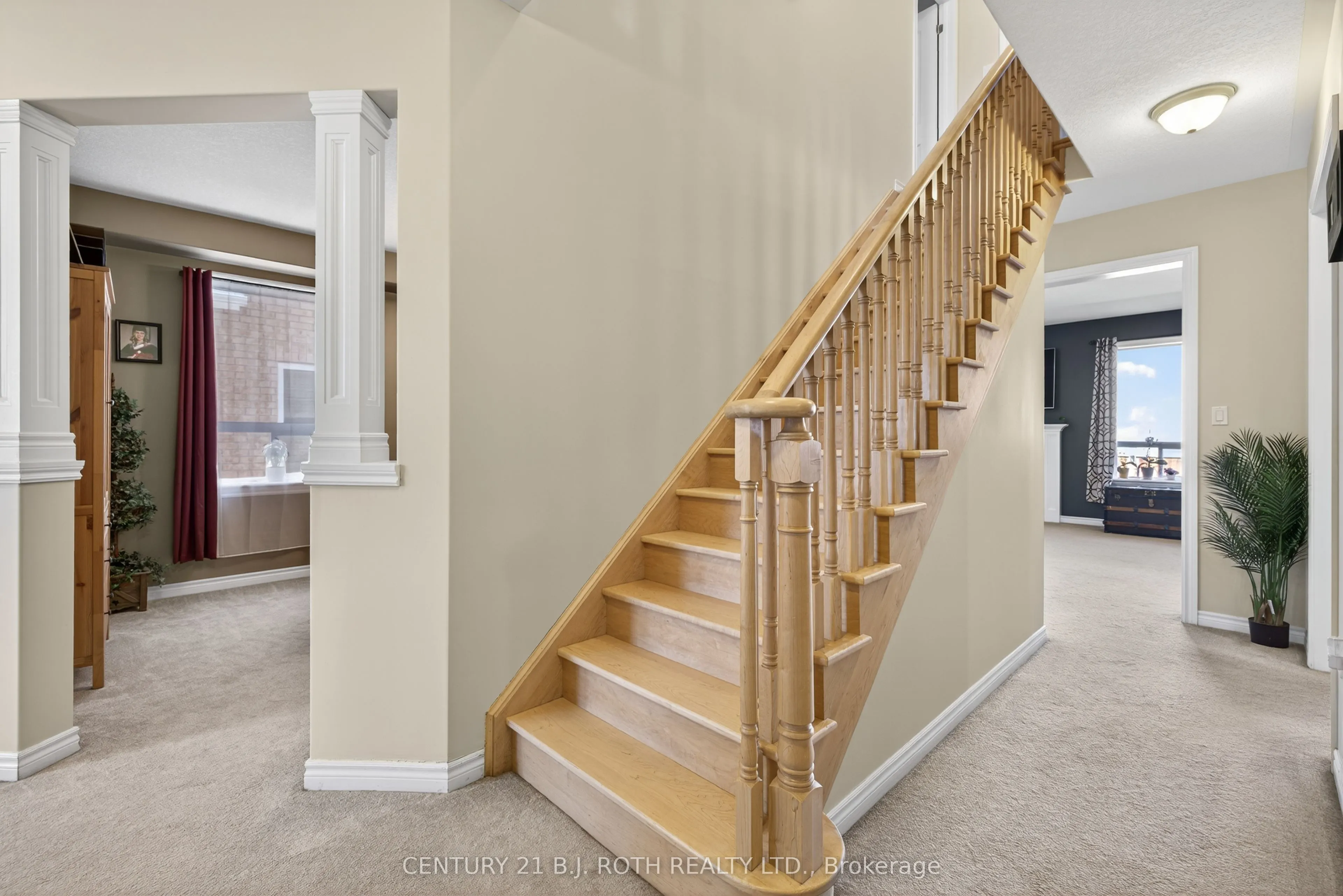 50 Bramsey Street