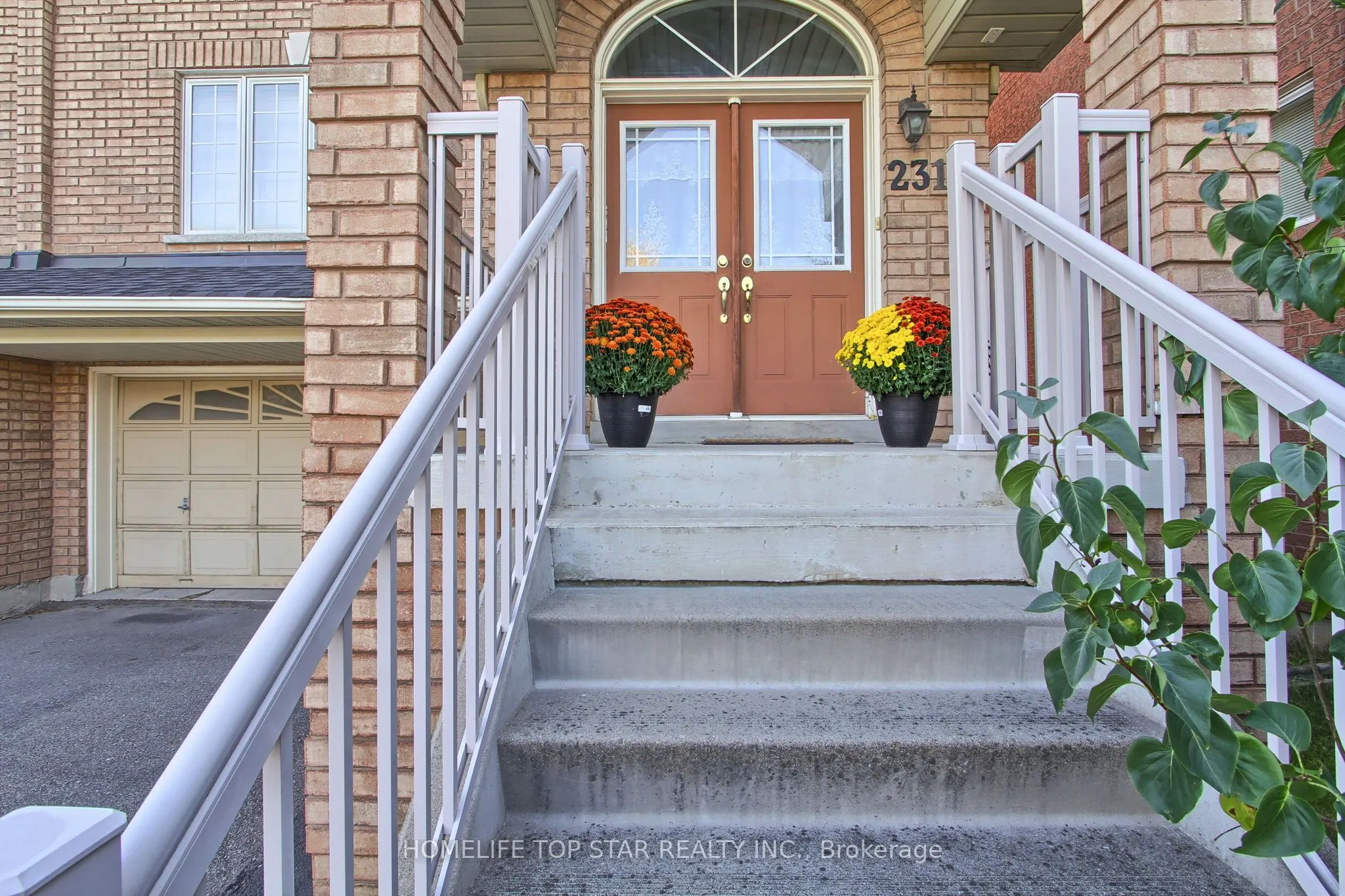 231 Knapton Drive