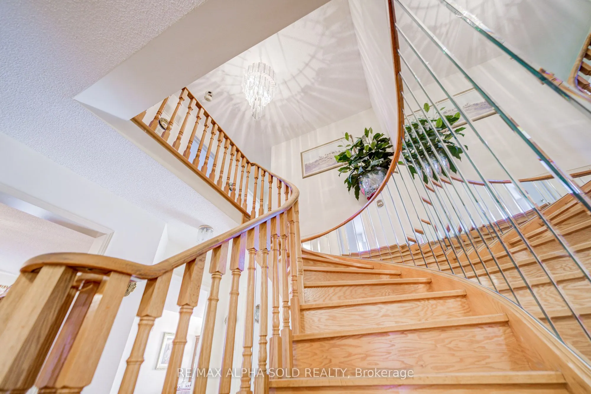82 Olivewood Drive