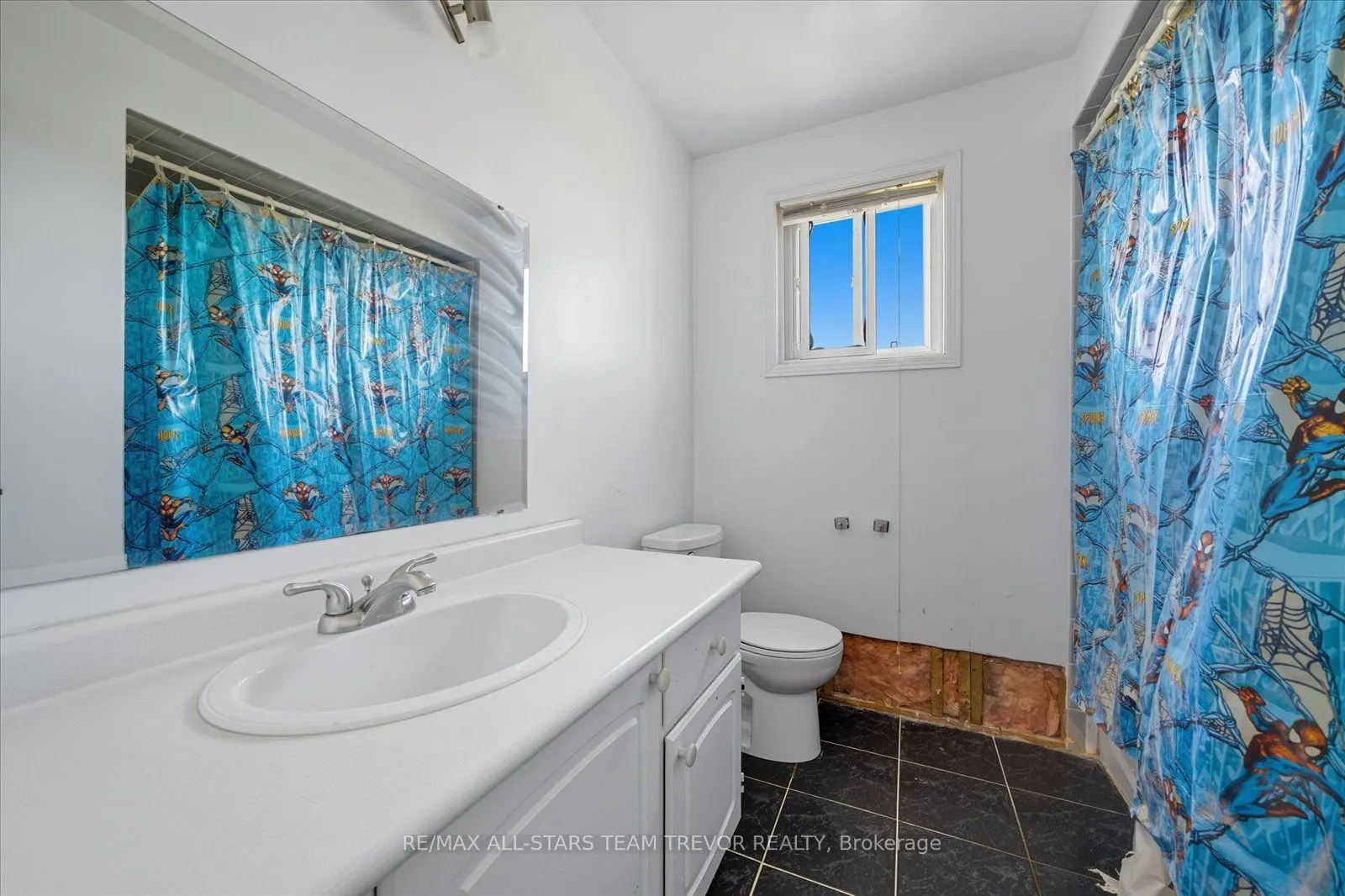 24 Oakmeadow Boulevard