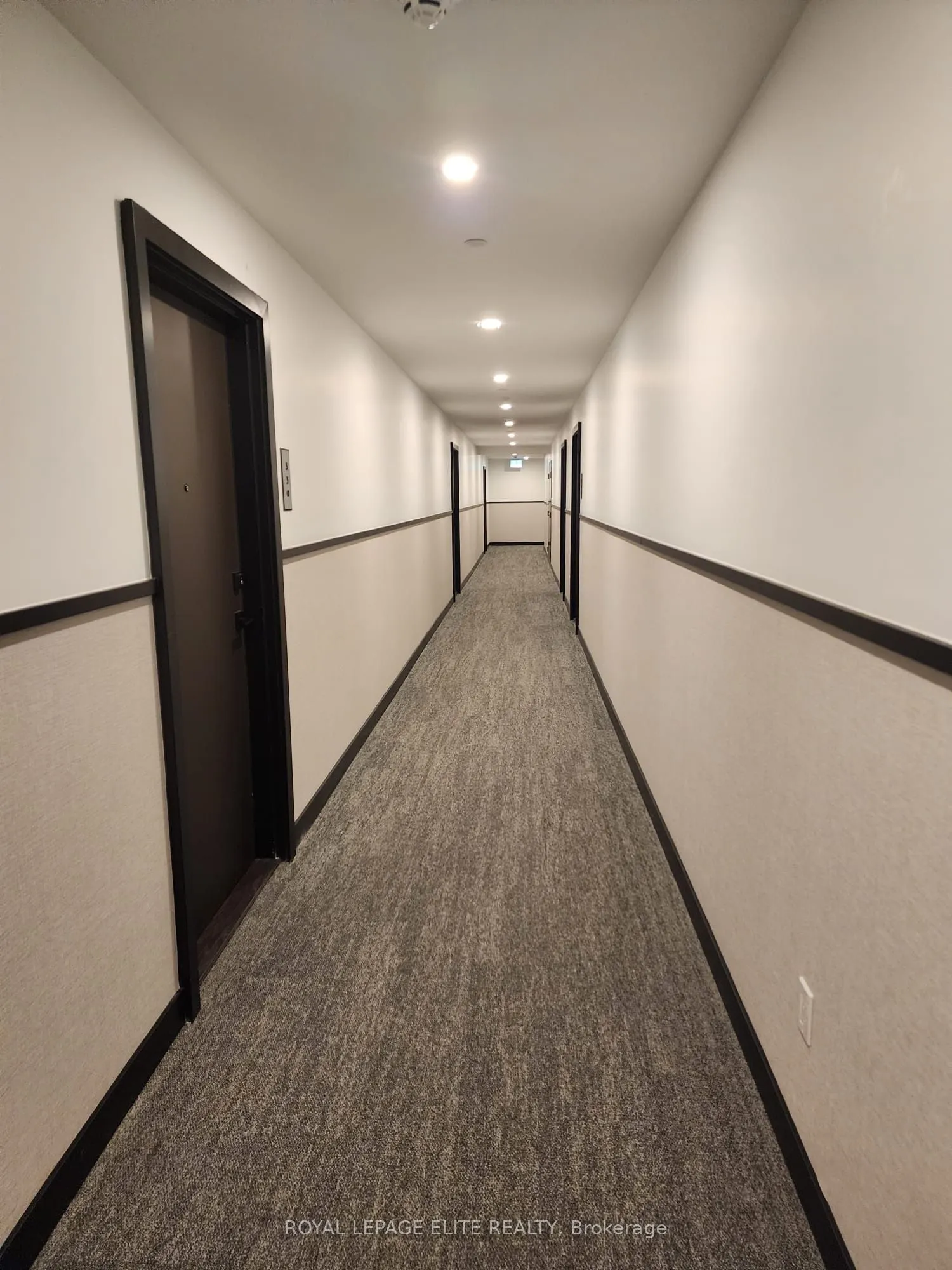498 Caldari Road, #344