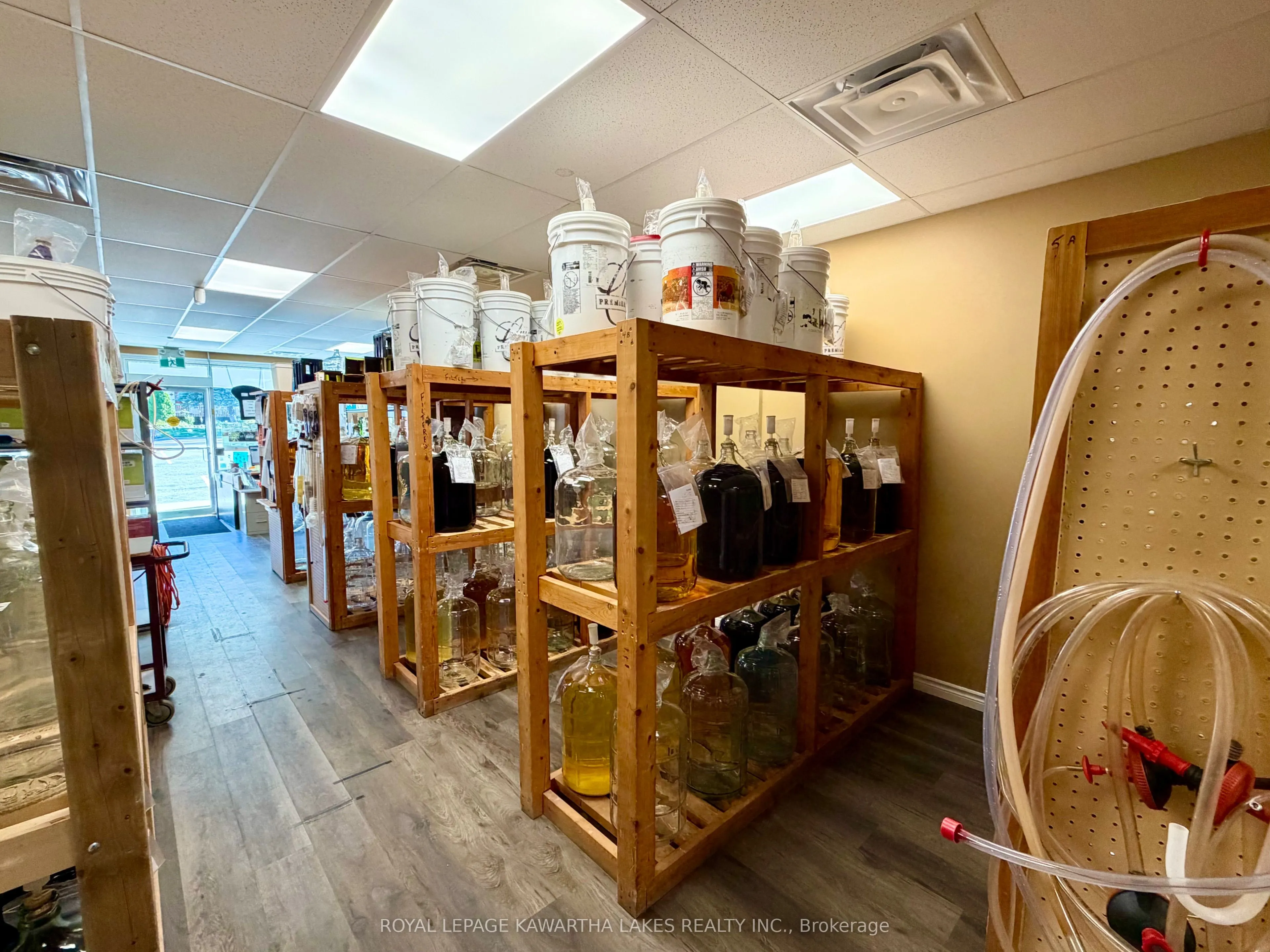 448 Osborne Street, #1