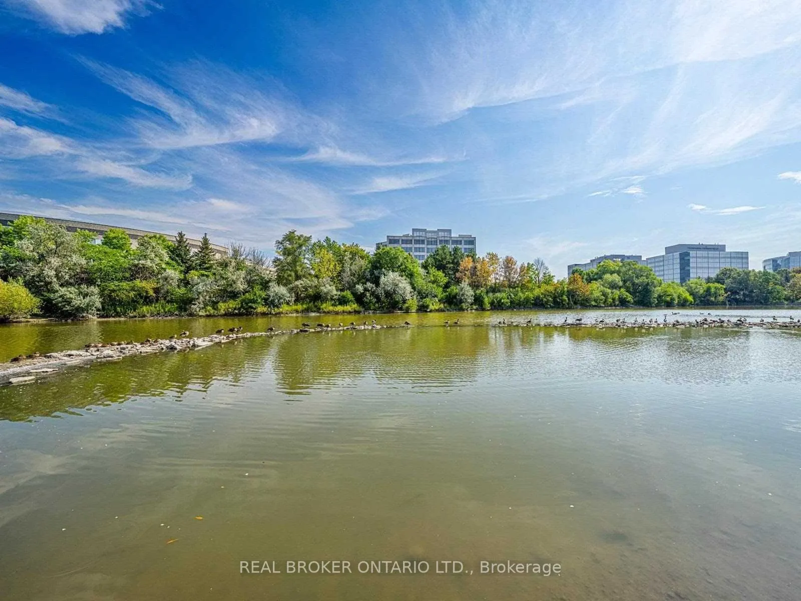 135 Pond Drive, #206