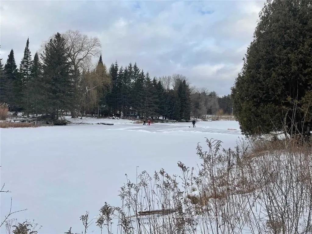 647D Ravenshoe Road
