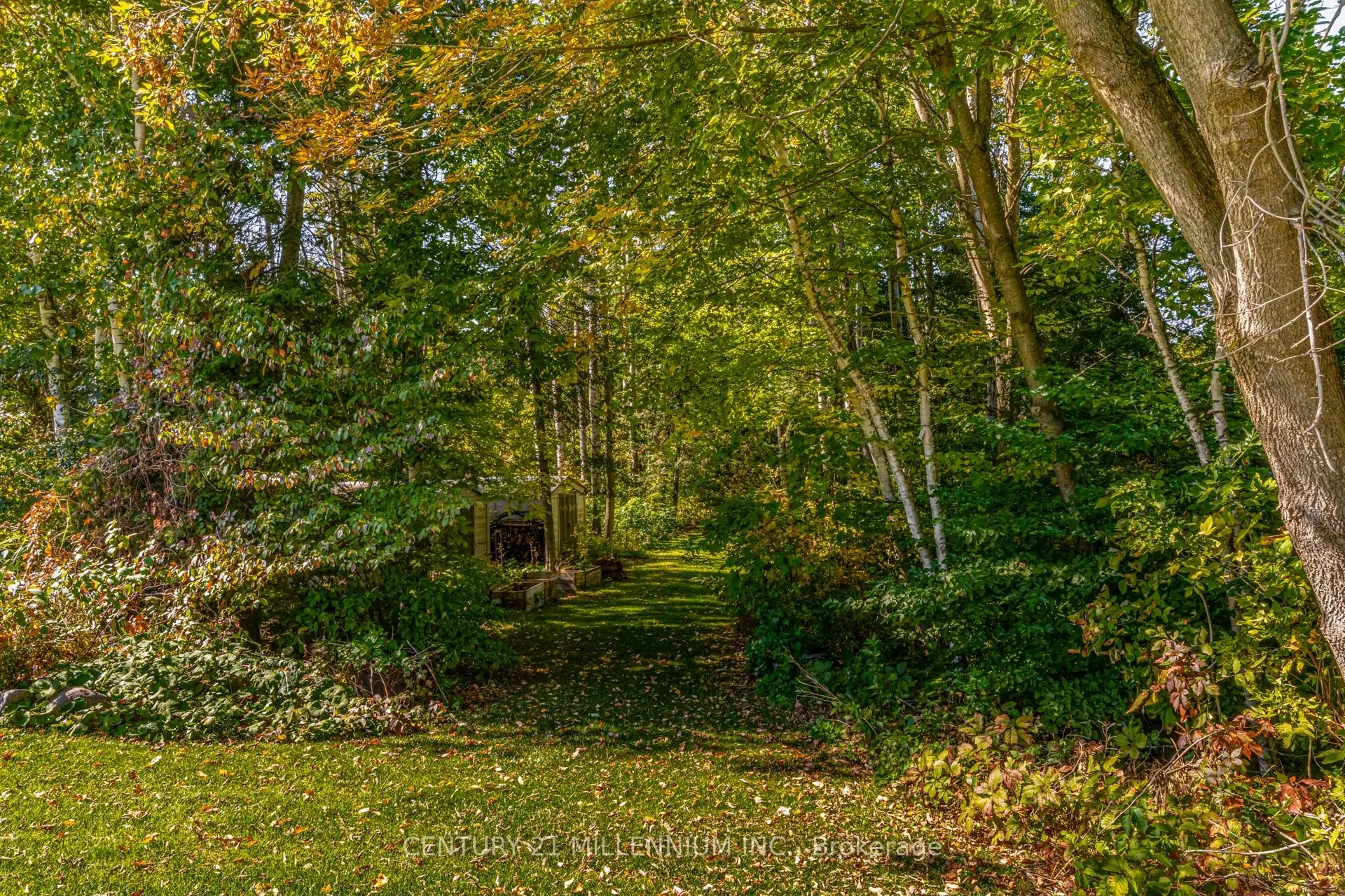 9344 County 1 Road