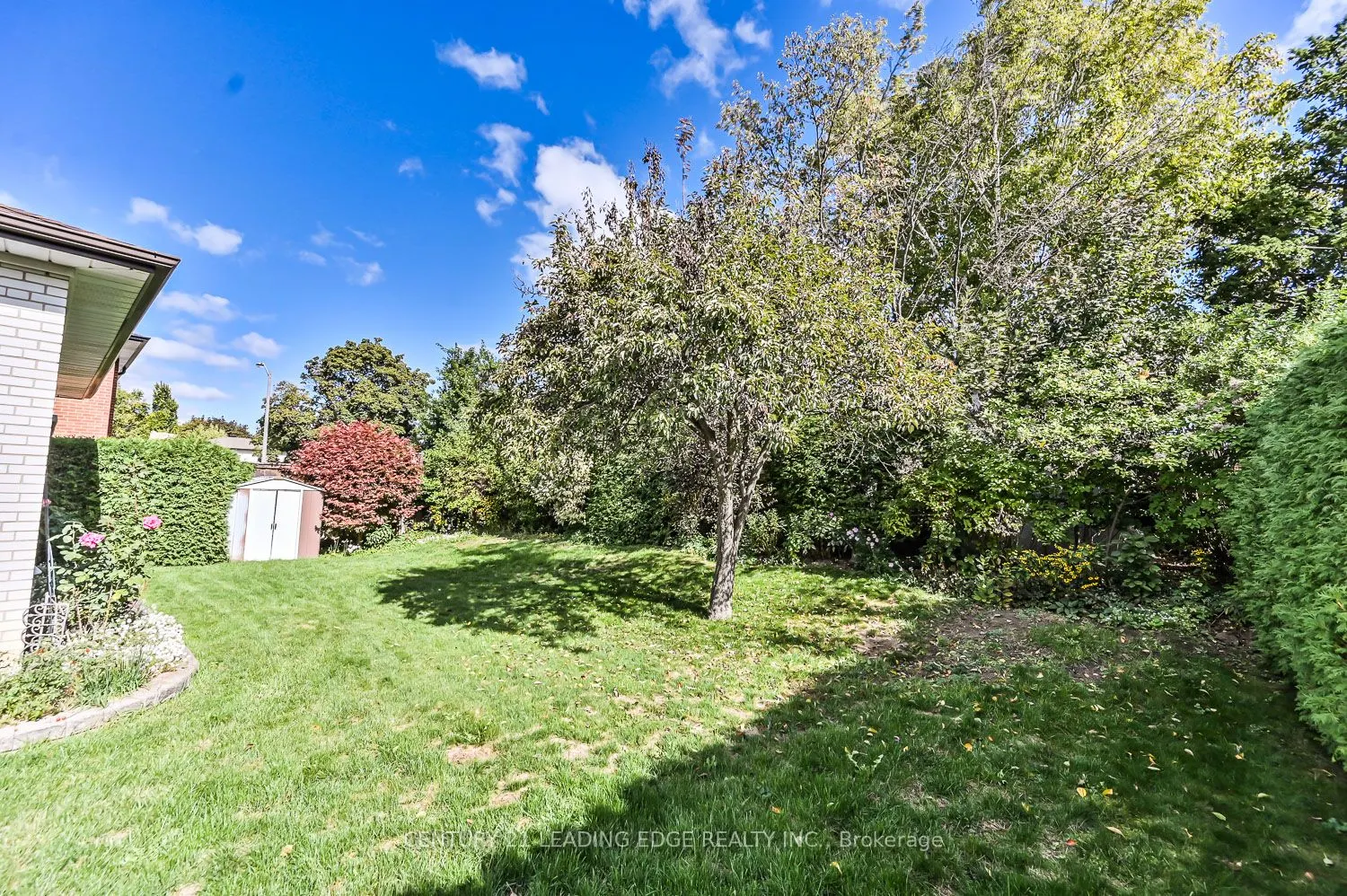 3 James Speight Road