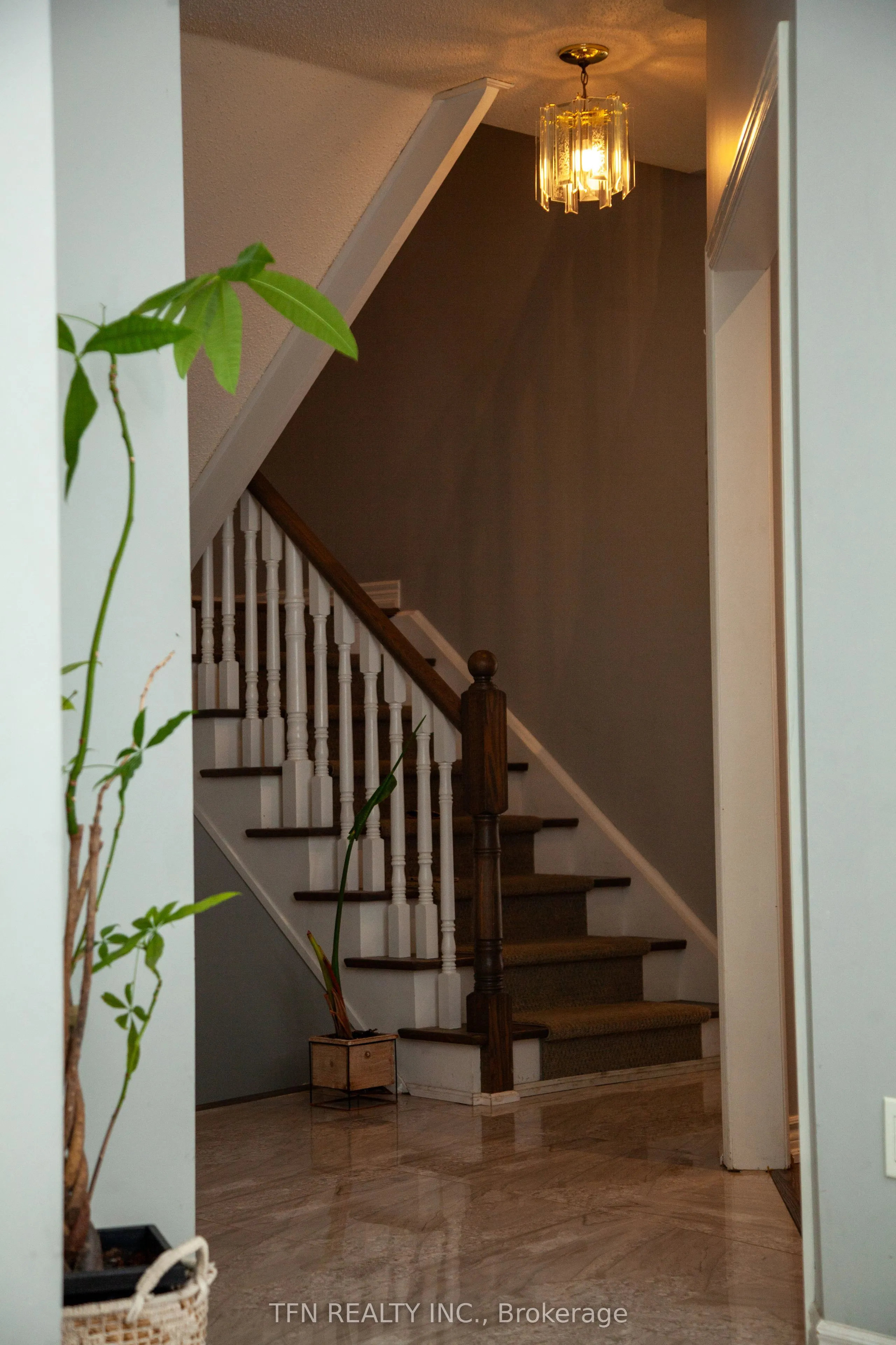 5 Belwood Boulevard