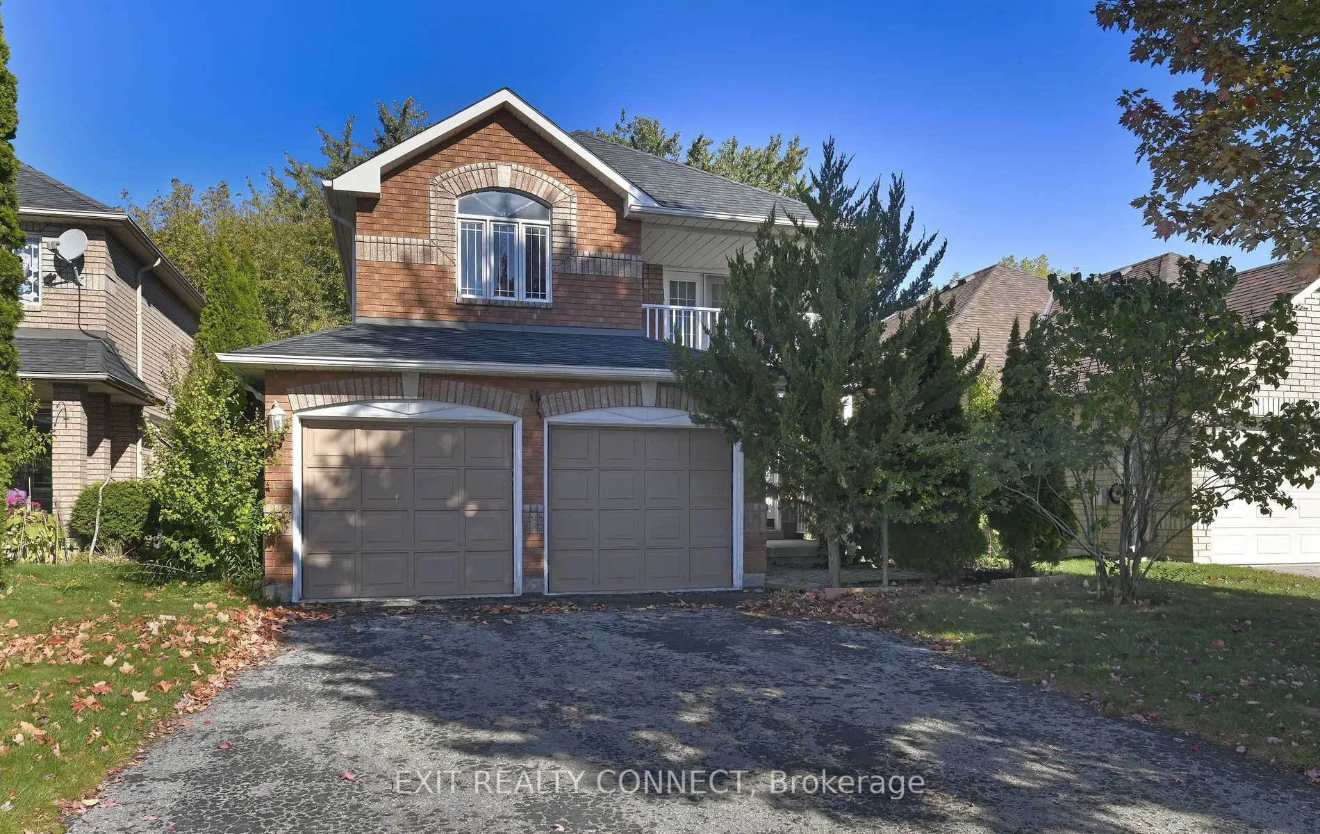 20 Rinaldo Road