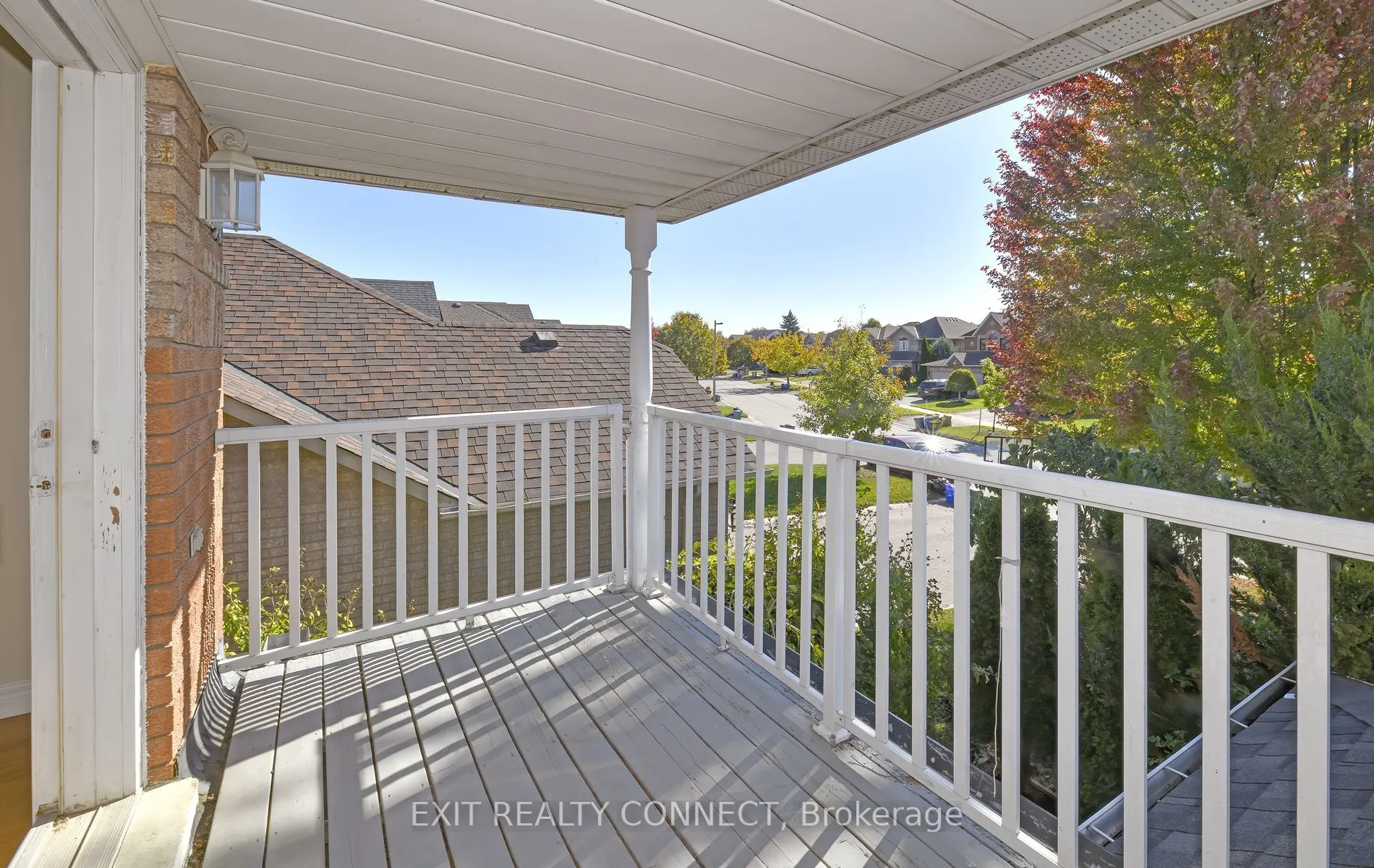 20 Rinaldo Road