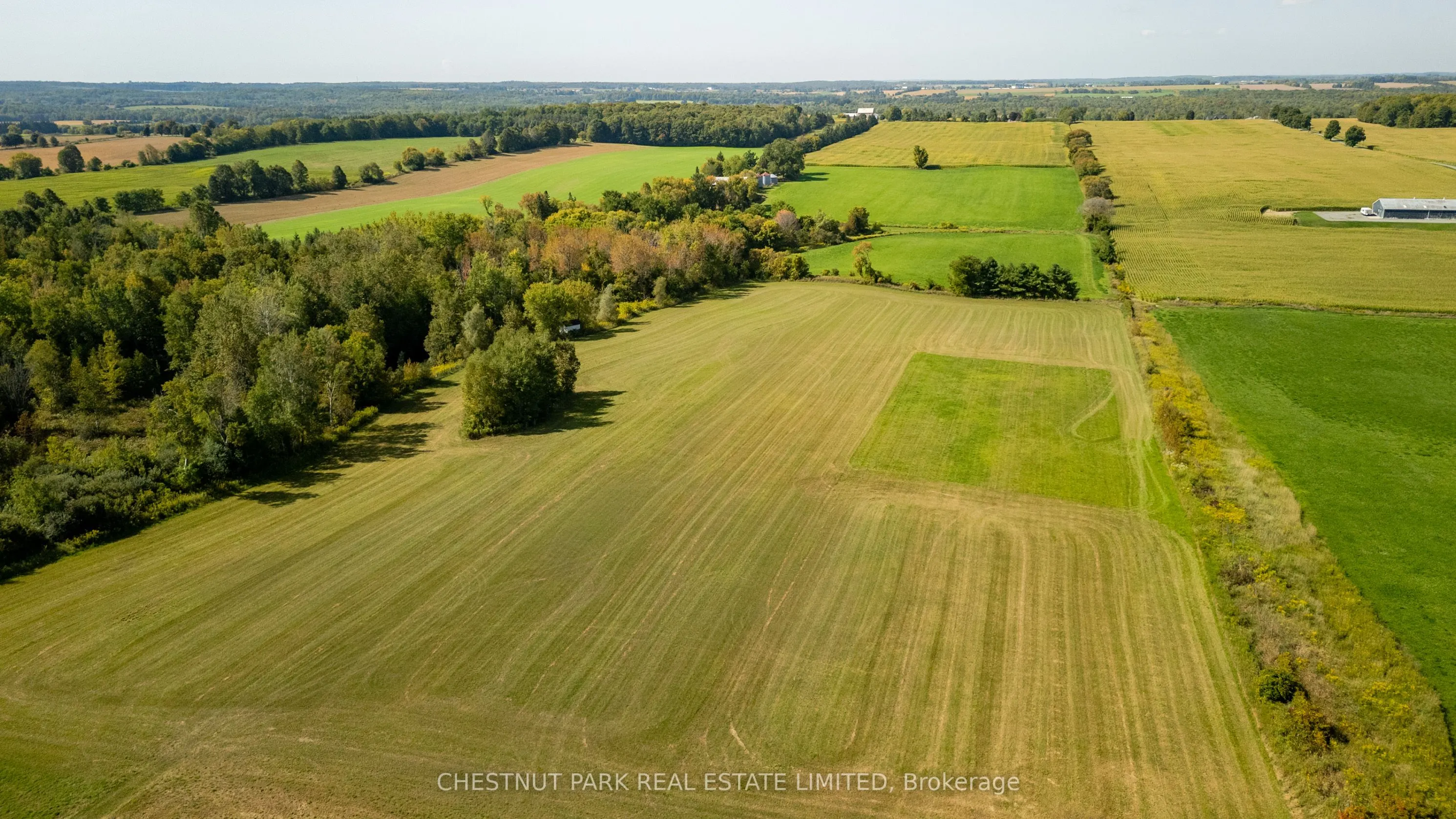 8360 Fourth Concession