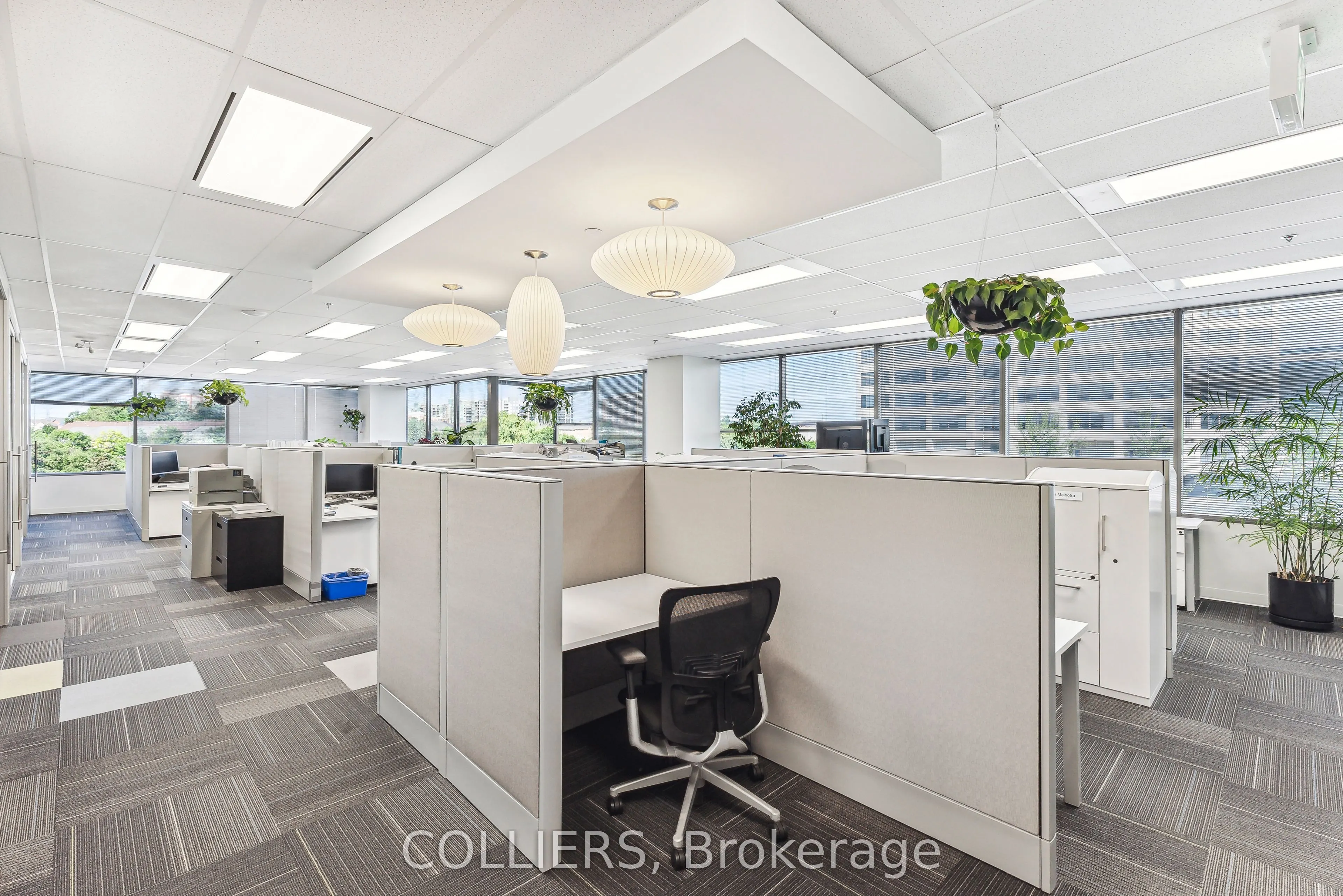 165 Commerce Valley Drive