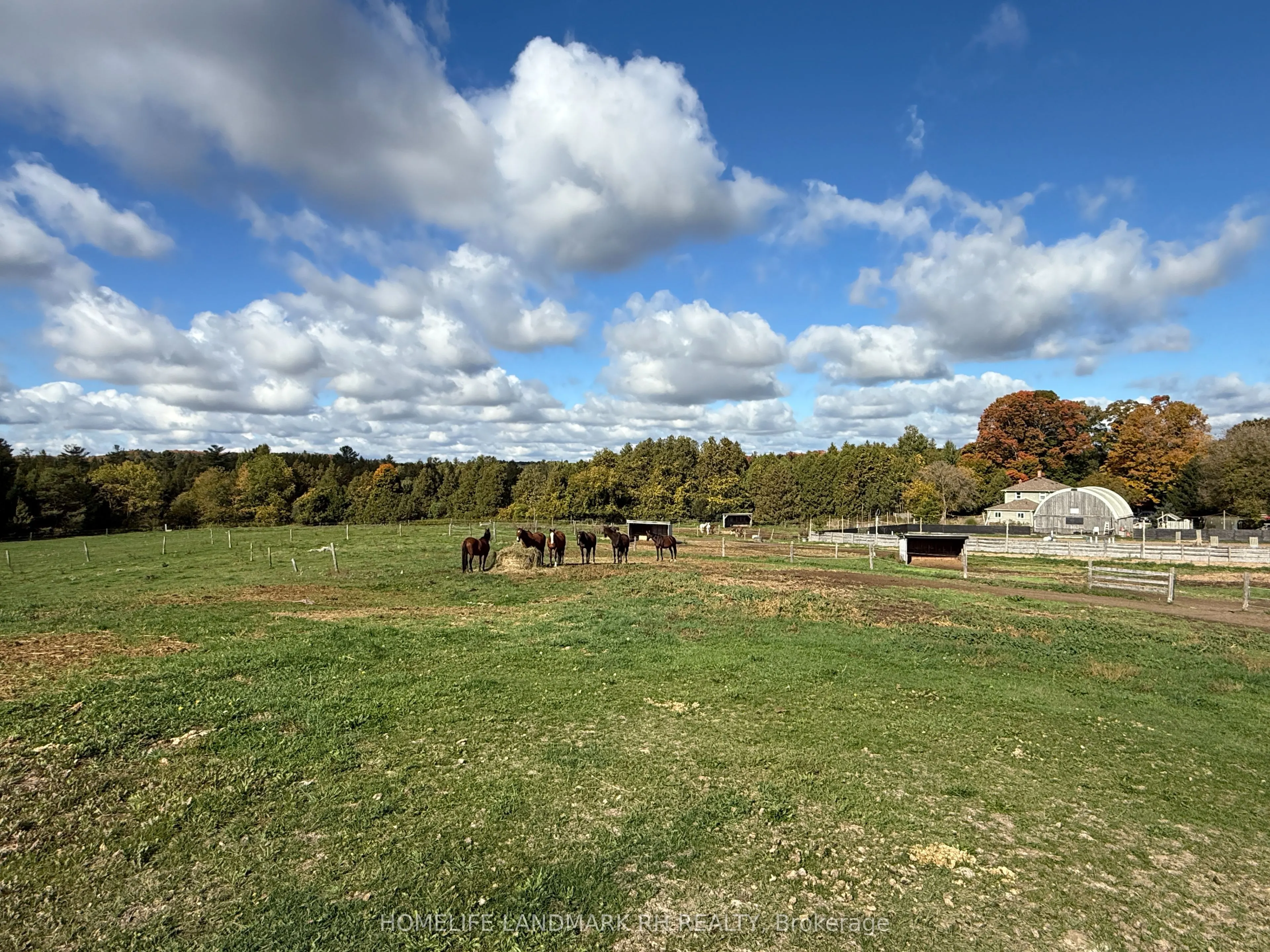 5031 Herald Road