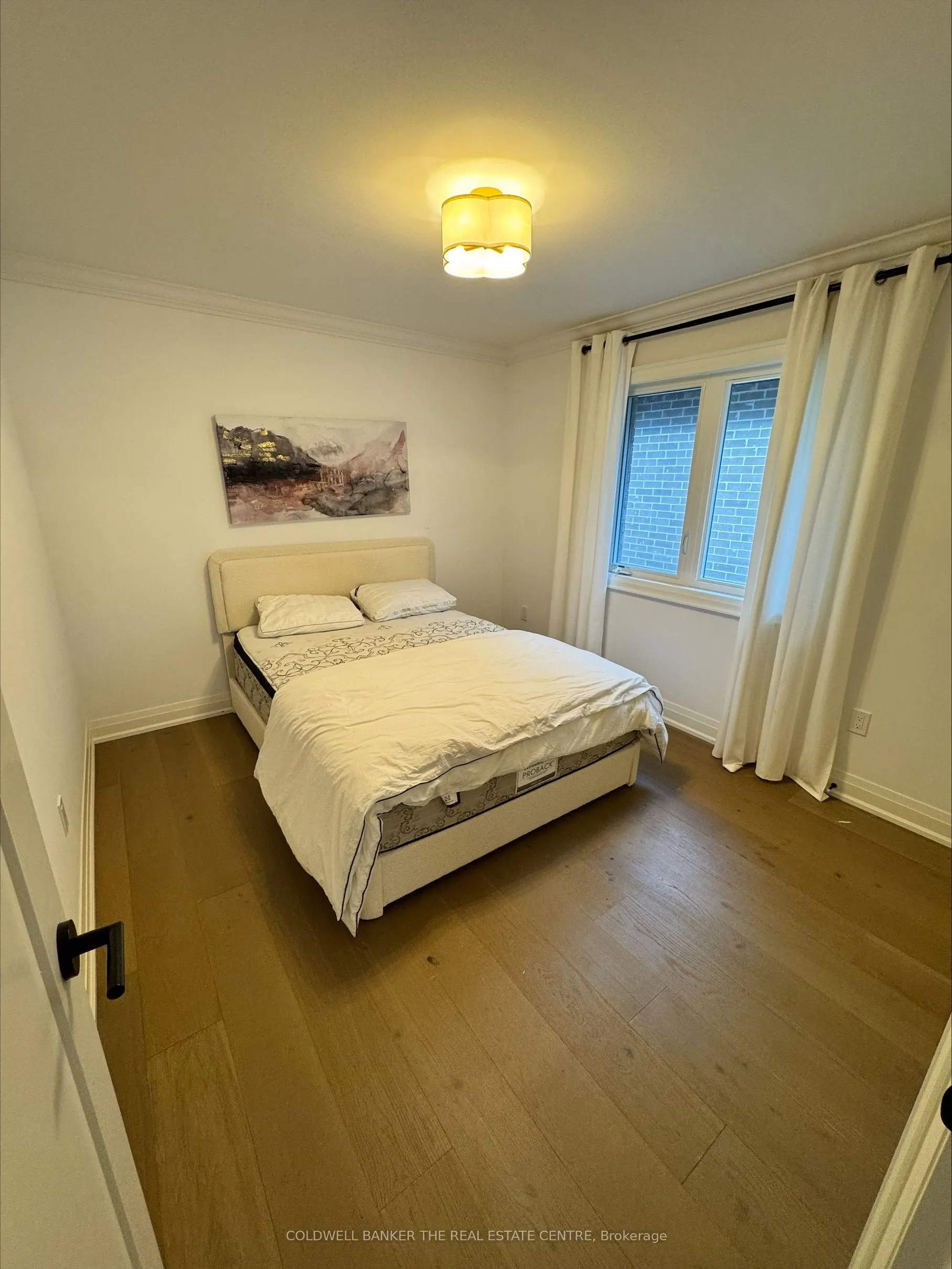 3 Alan Williams Trail