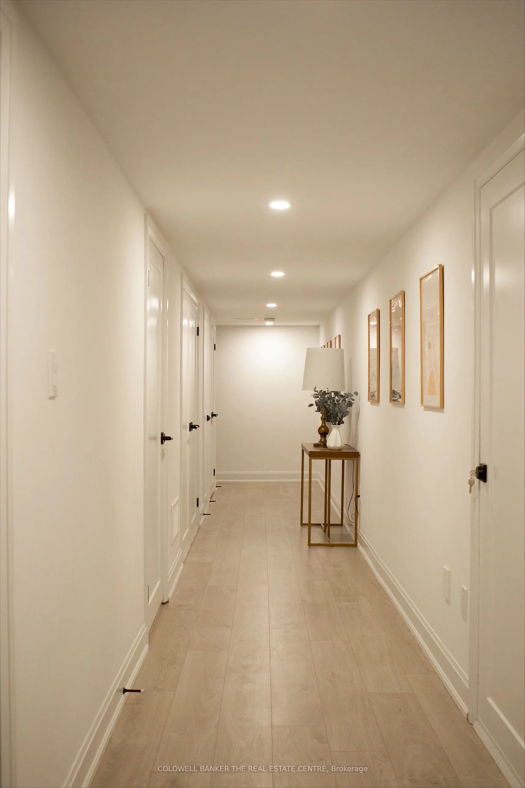 3 Alan Williams Trail