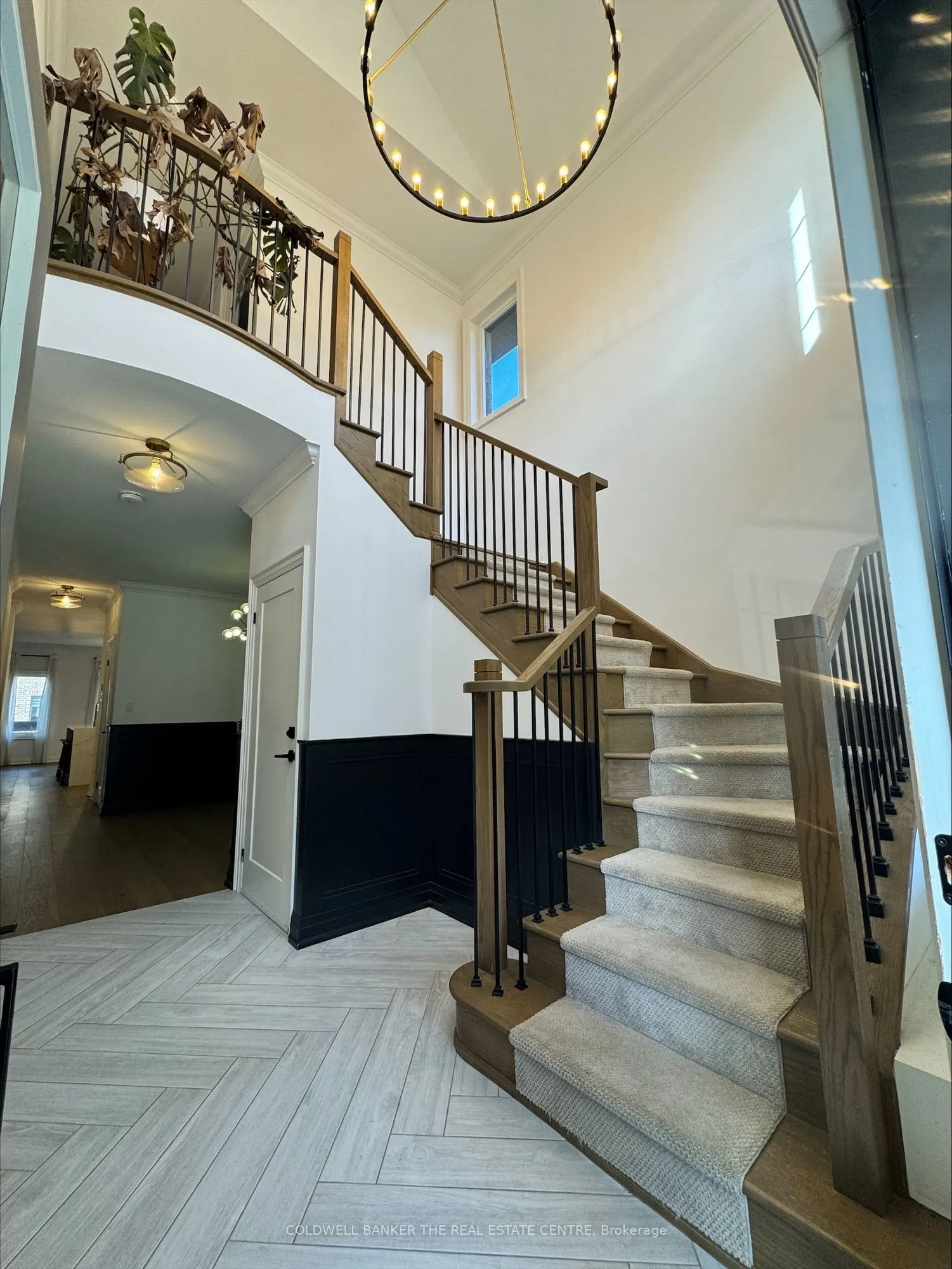 3 Alan Williams Trail