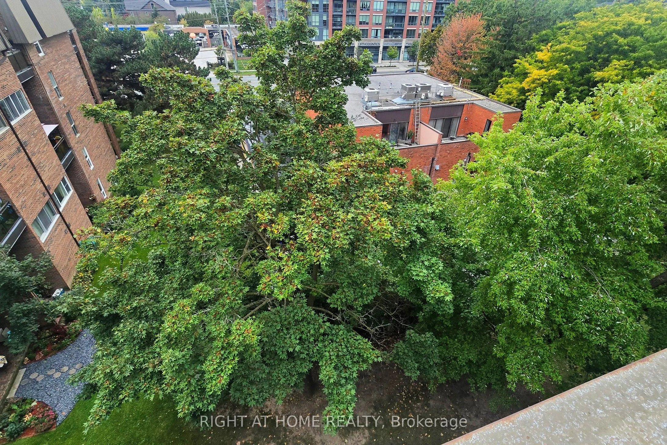 16 Elgin Street, #320