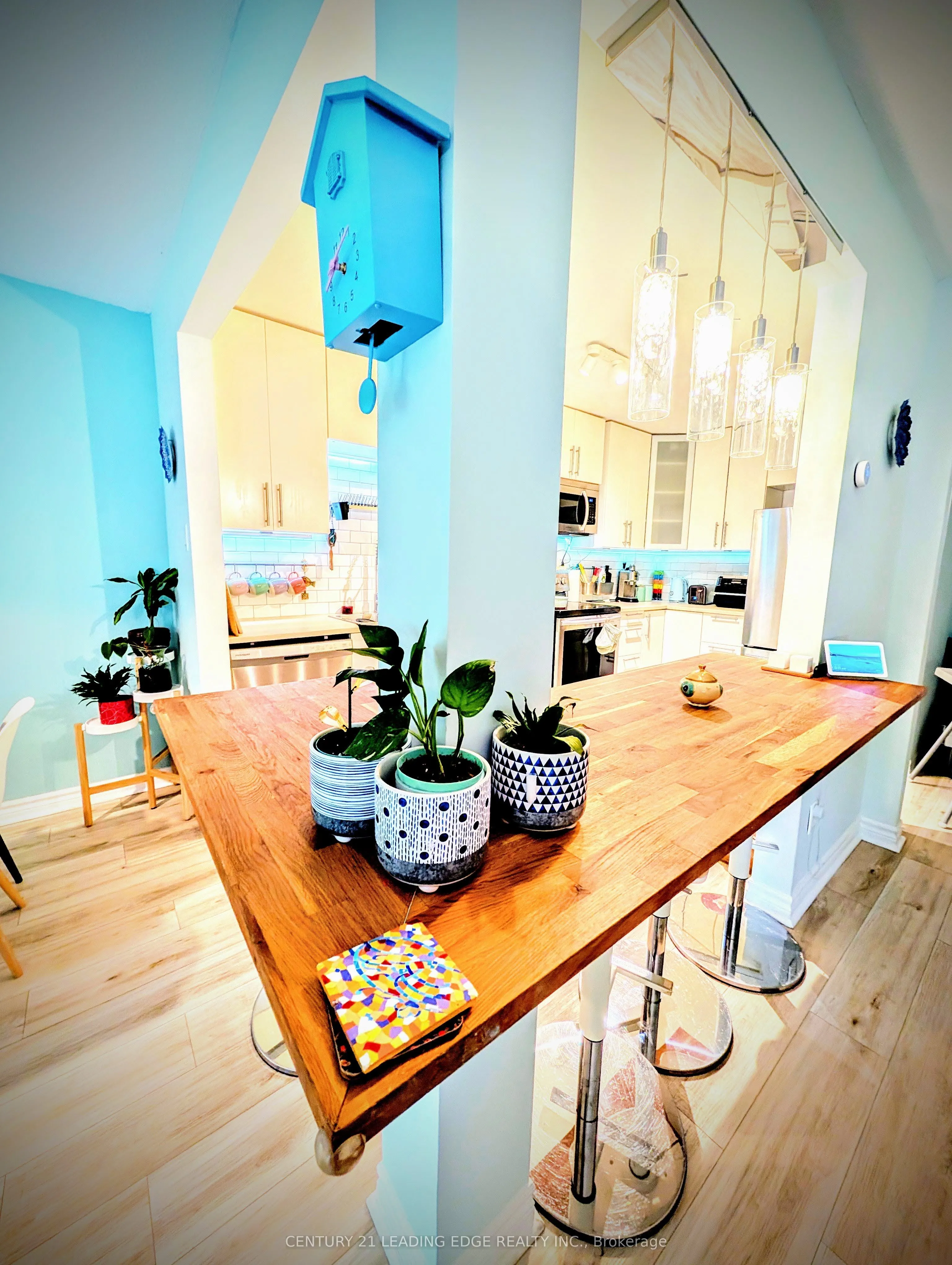 40 Castle Rock Drive, #6