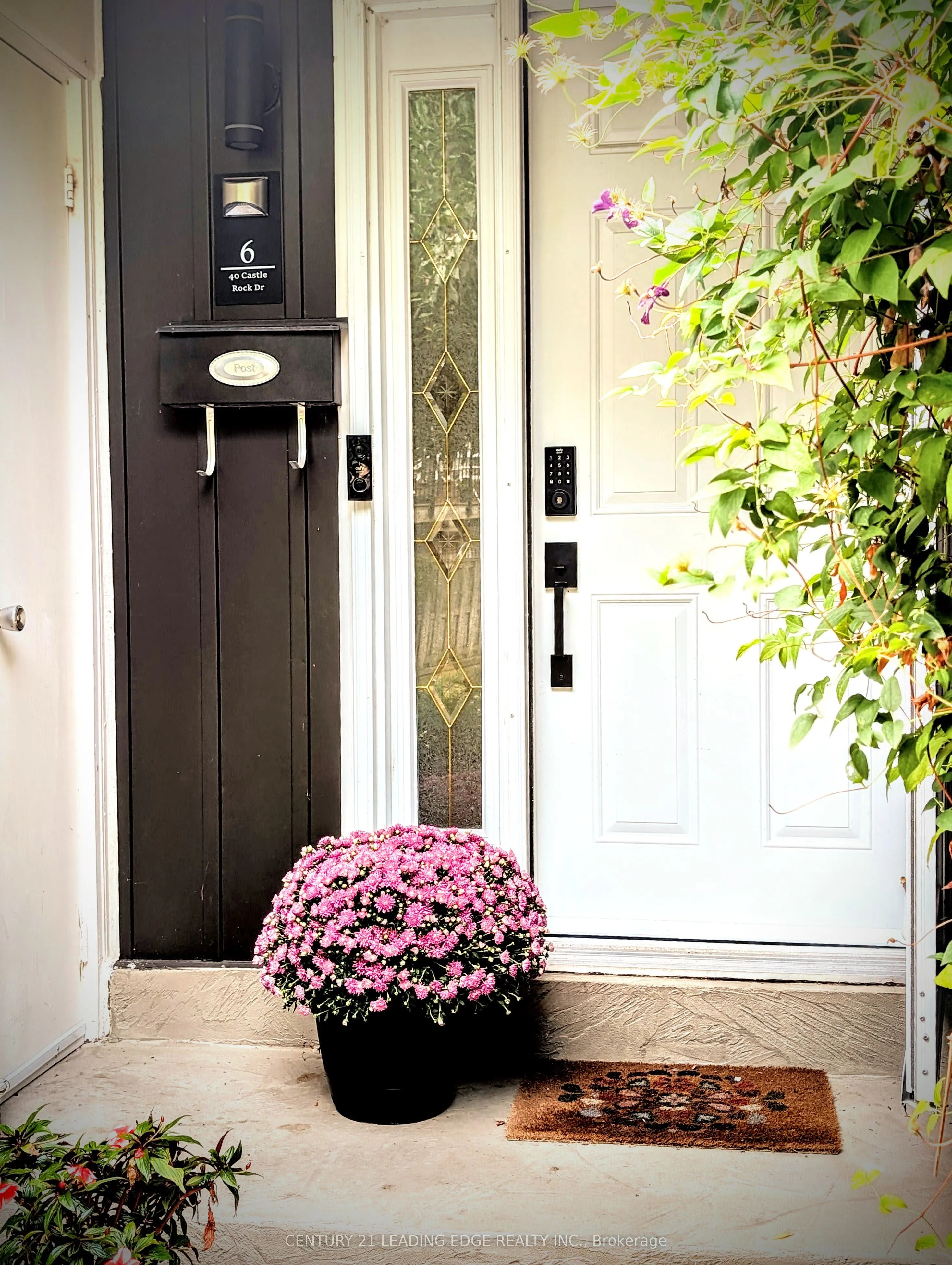 40 Castle Rock Drive, #6