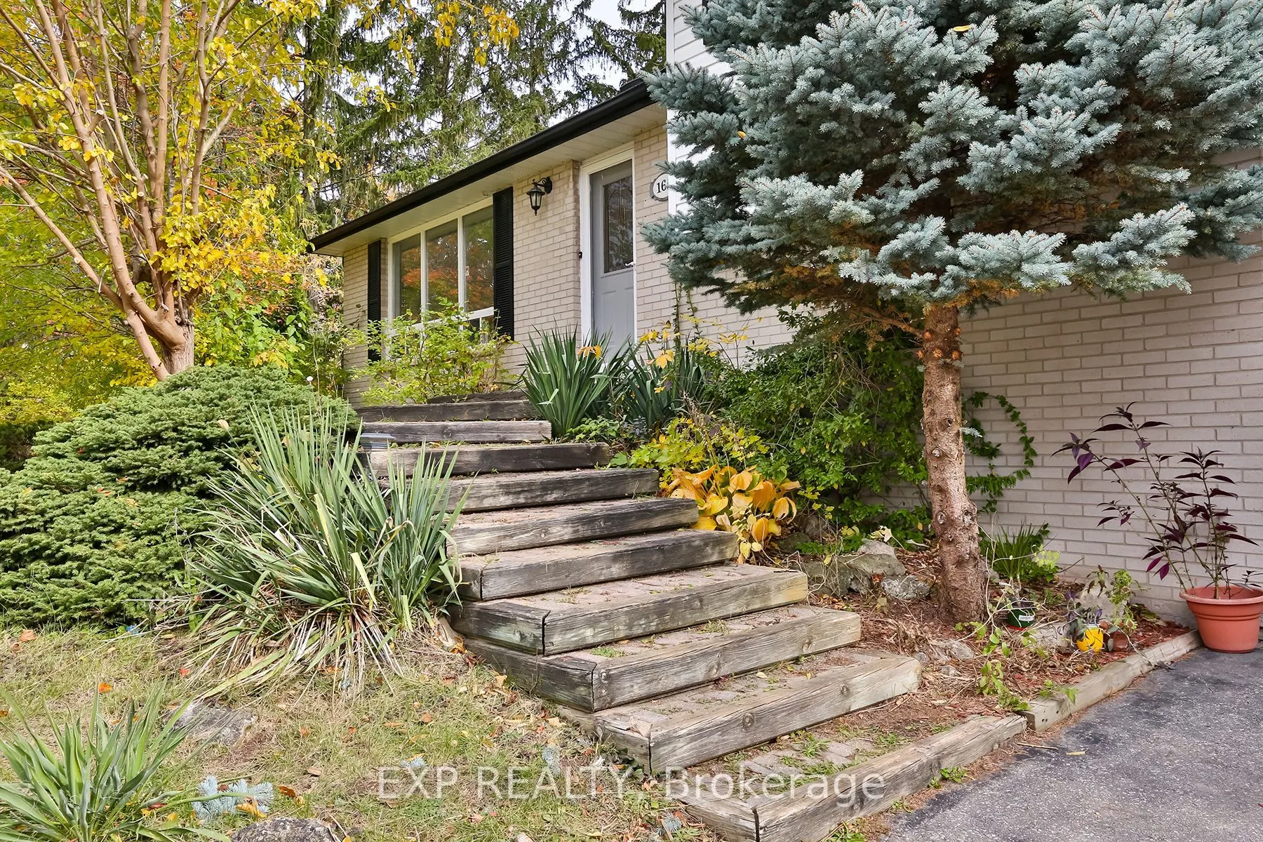 165 Carlson Drive