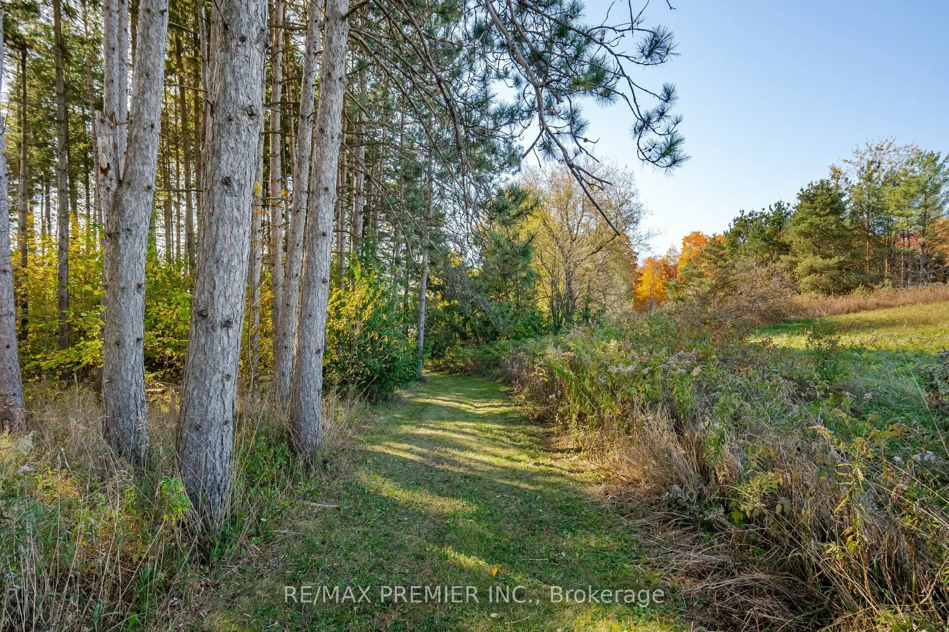 4904 10th Side Road