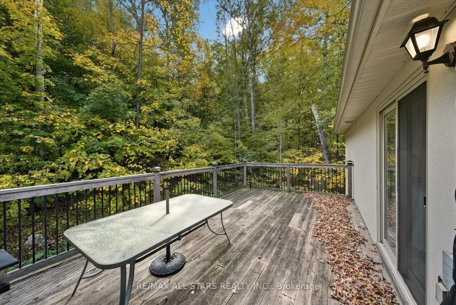 40 Algonquin Forest Drive