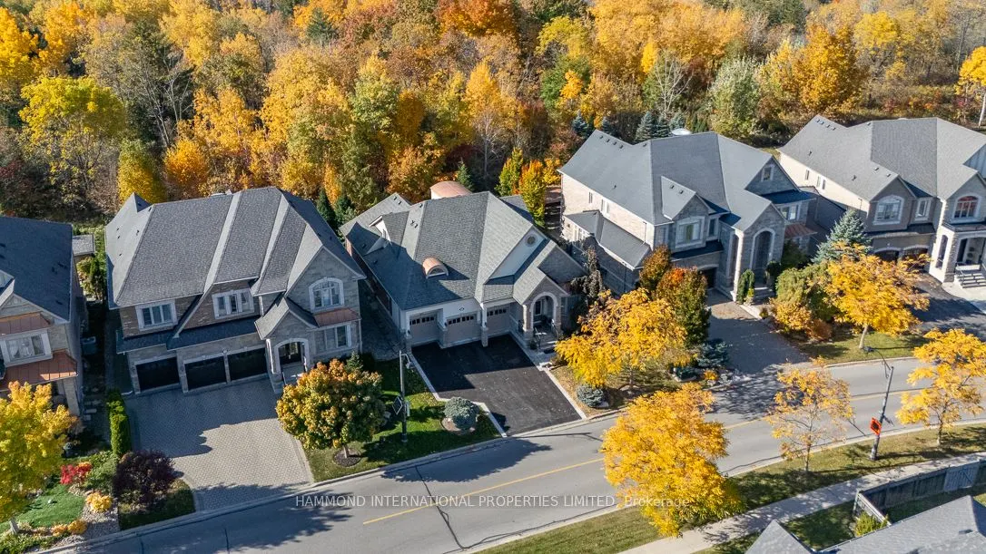 203 Hunterwood Chase