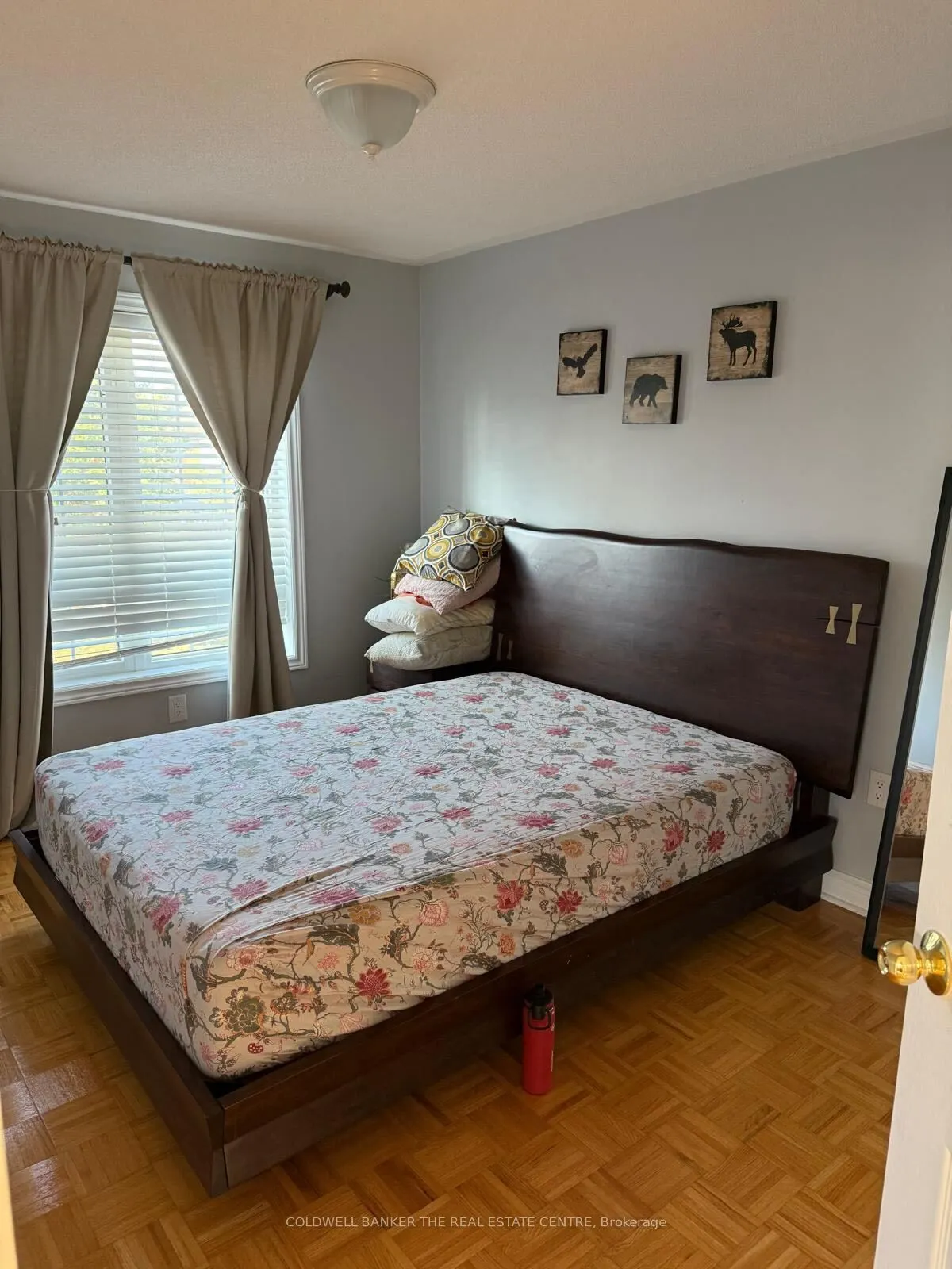 58 Arco Circle