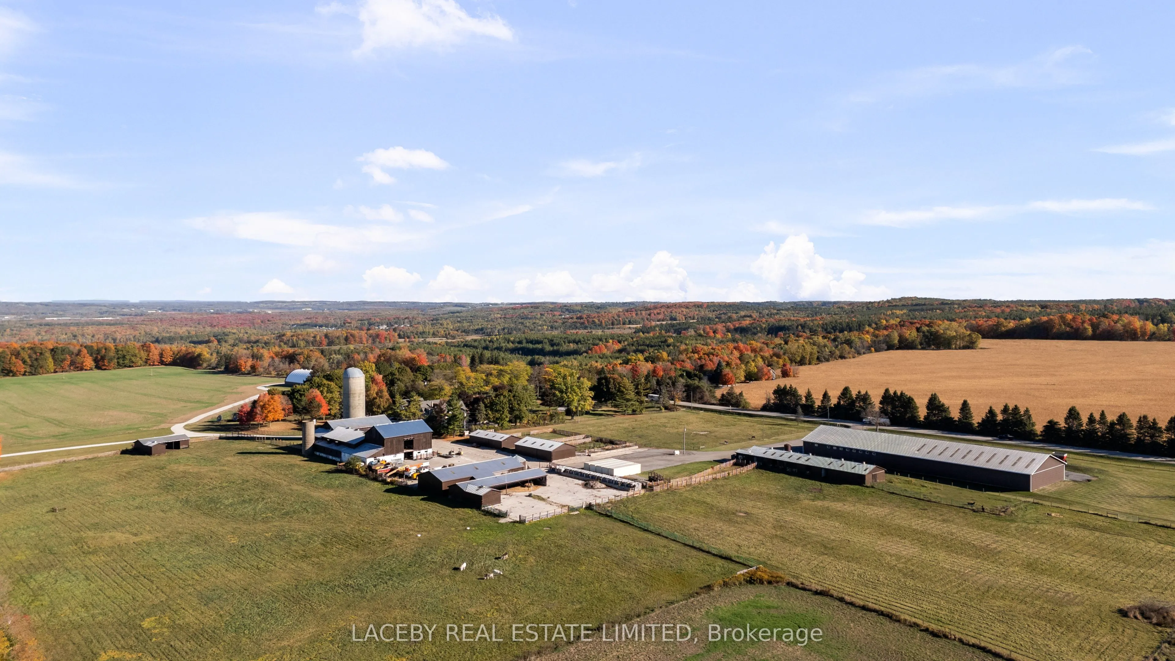 3856 5th Side Road