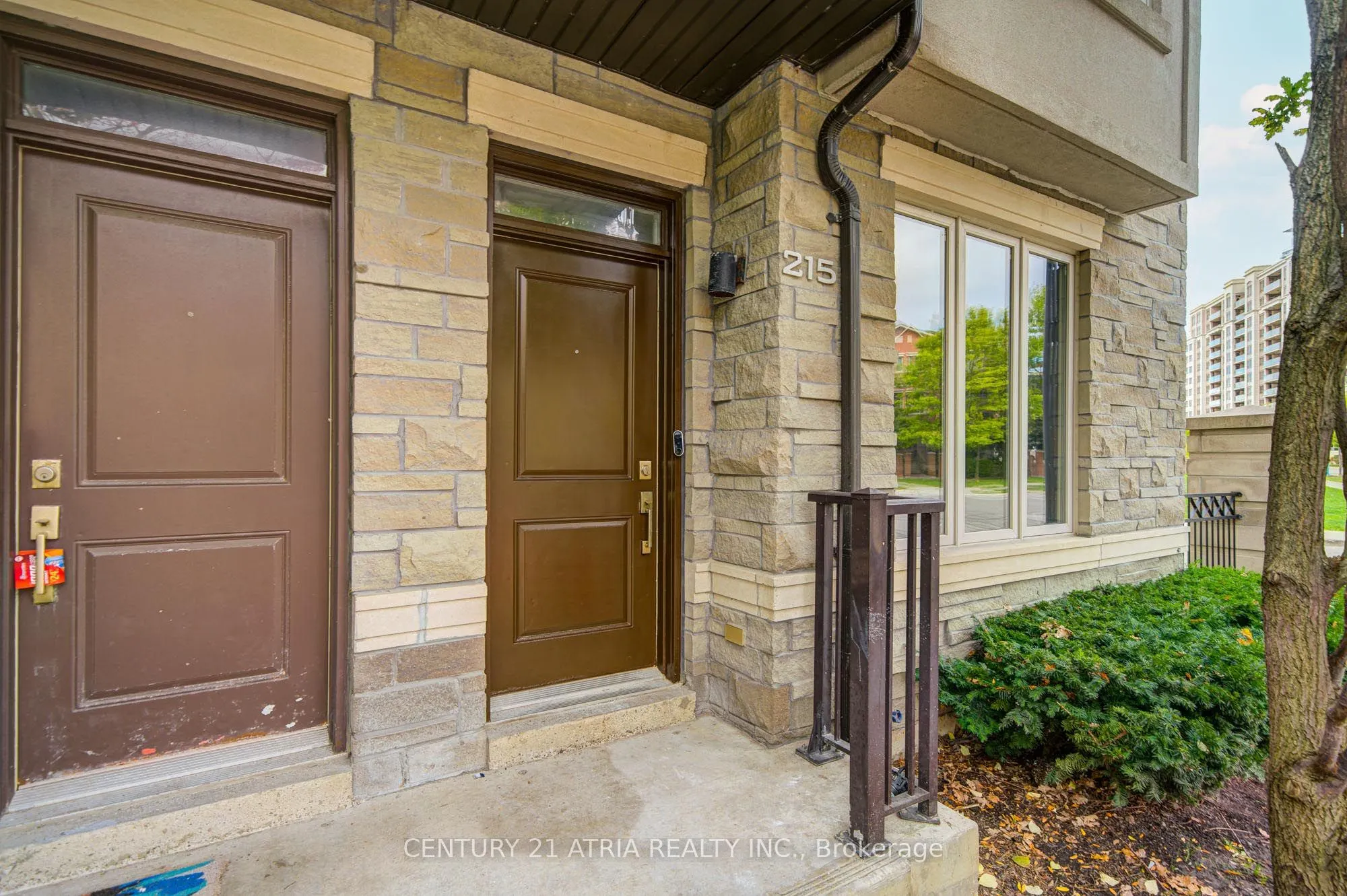 215 South park Road, #1