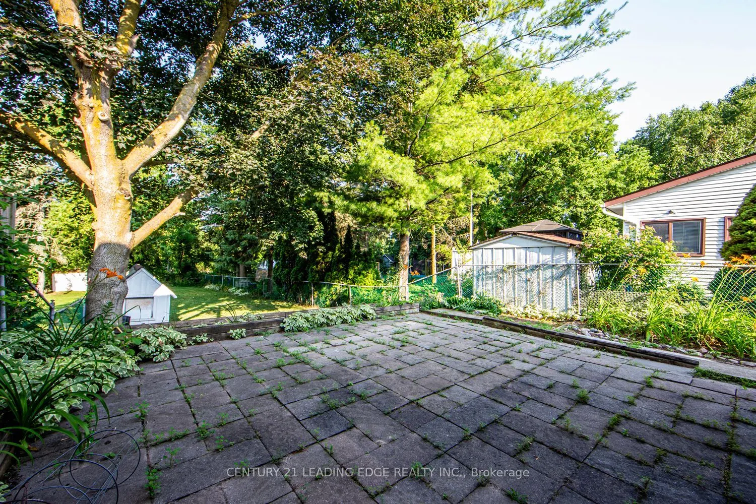 45 Wales Avenue, #Walkout Basement