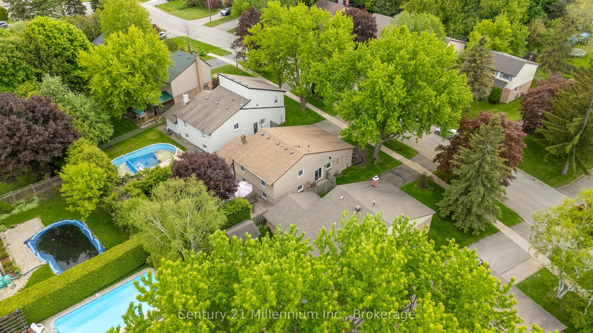 43 Stoddart Drive