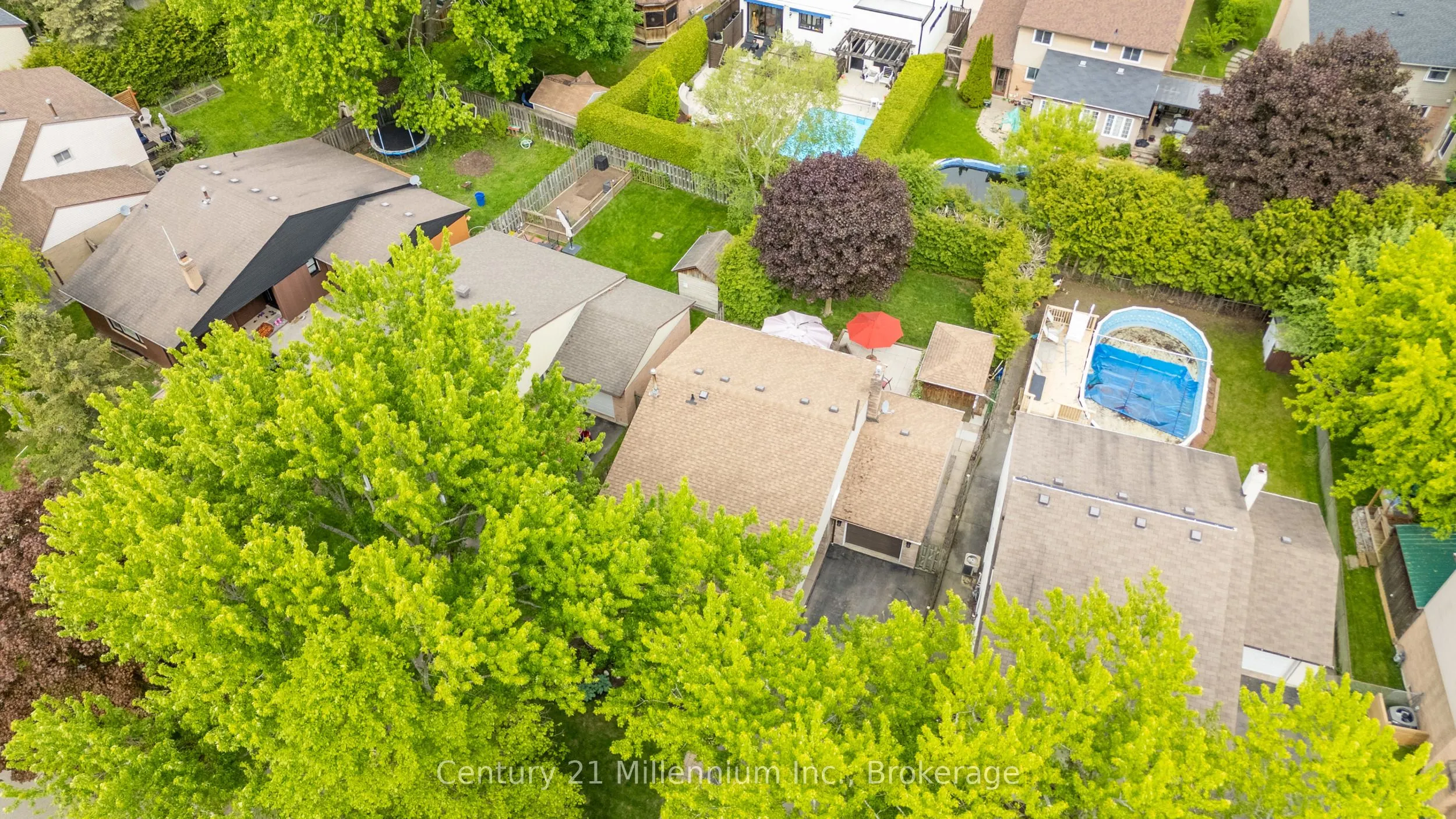 43 Stoddart Drive