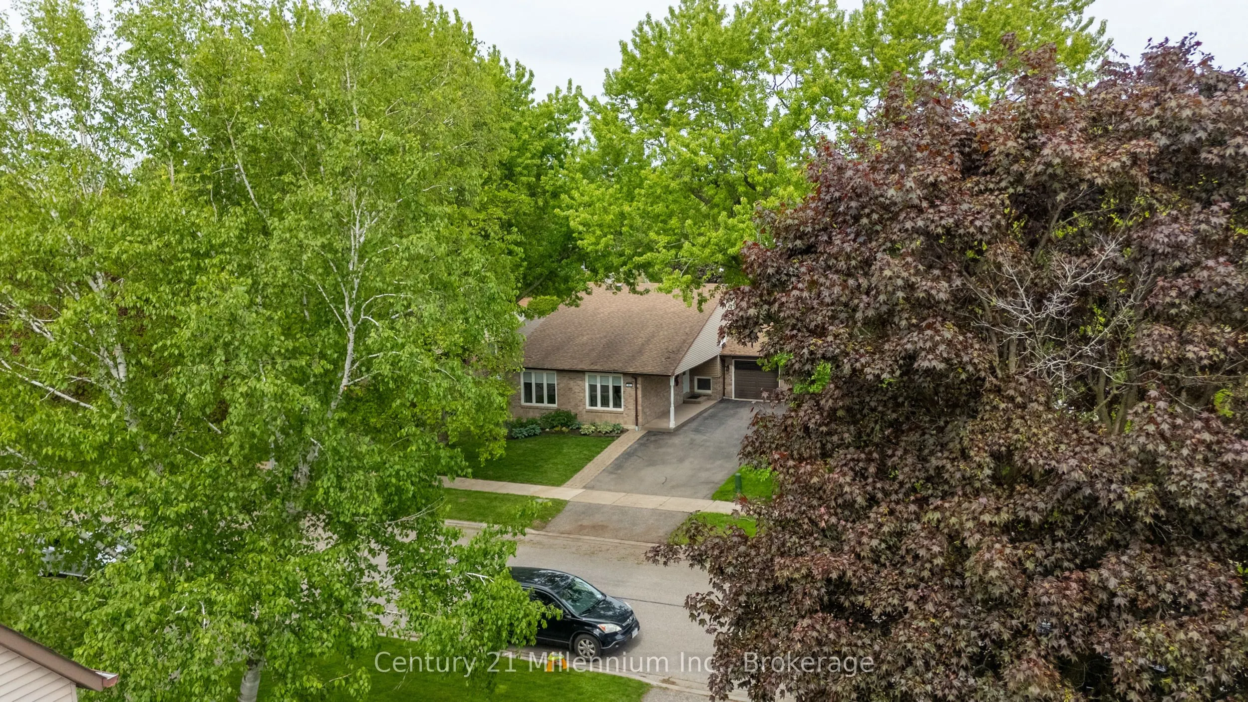 43 Stoddart Drive