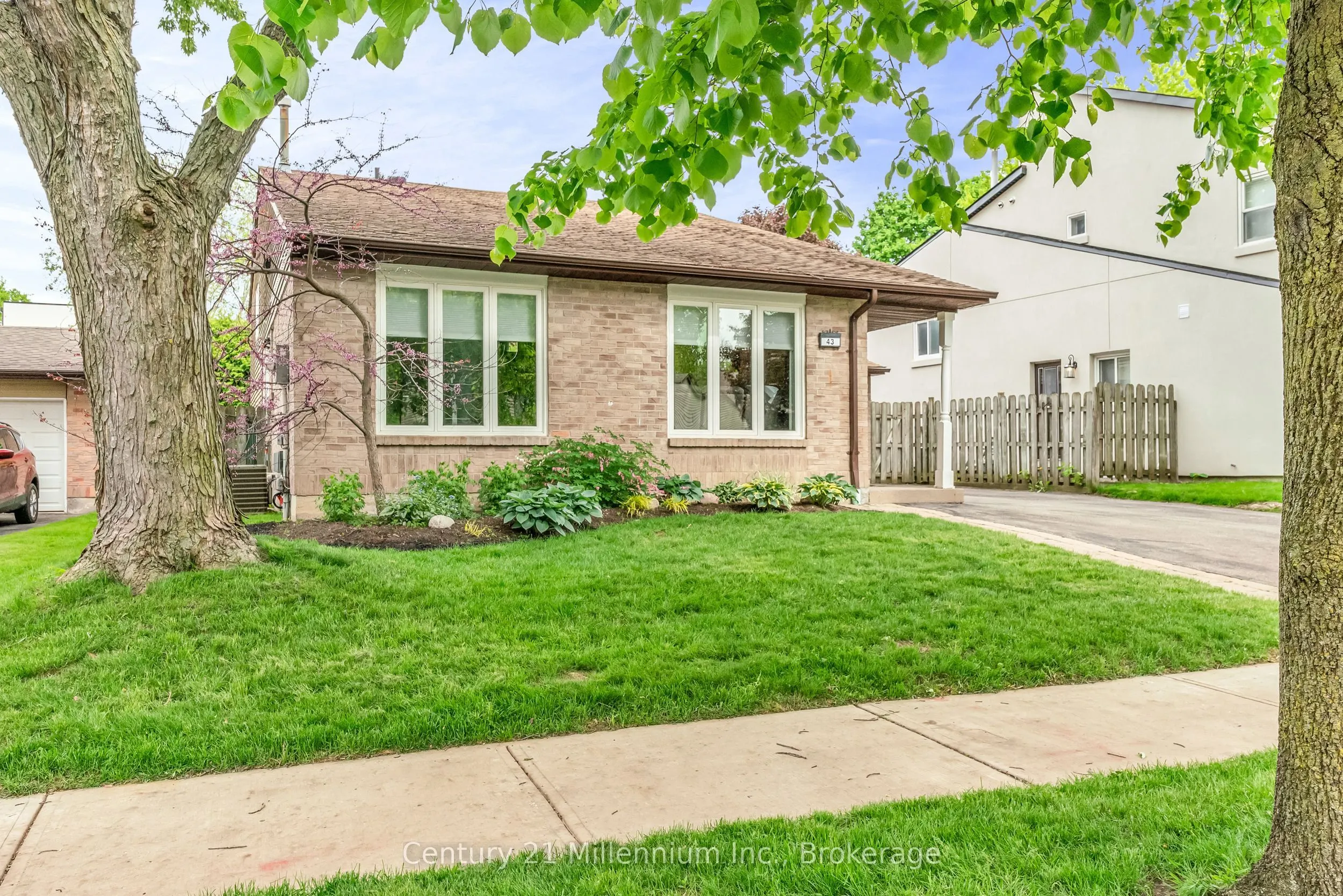43 Stoddart Drive