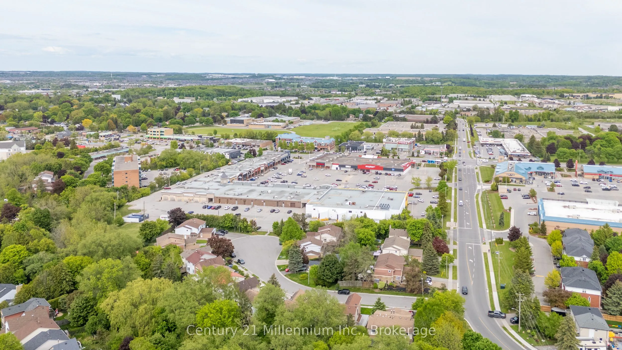 43 Stoddart Drive