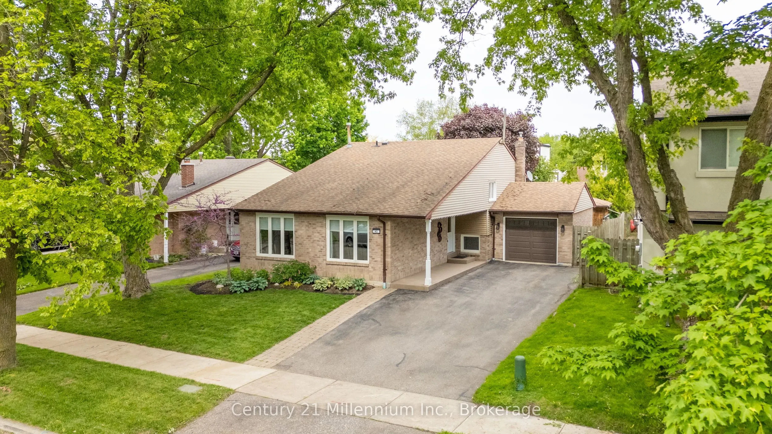 43 Stoddart Drive