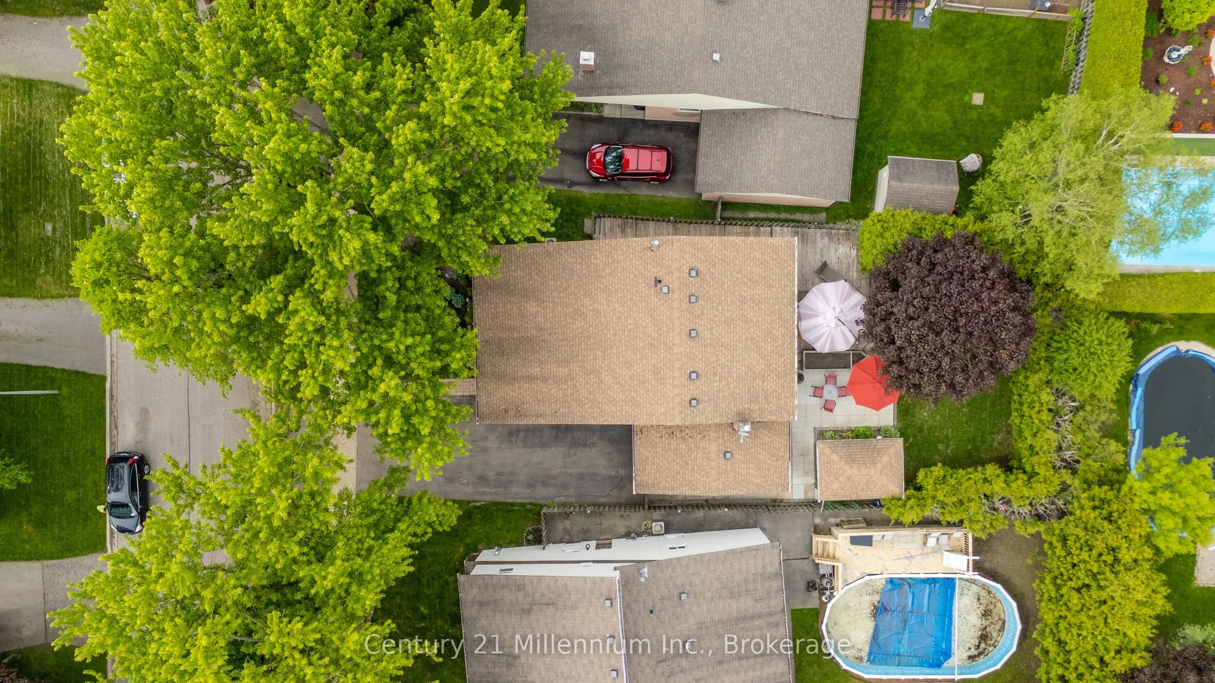 43 Stoddart Drive