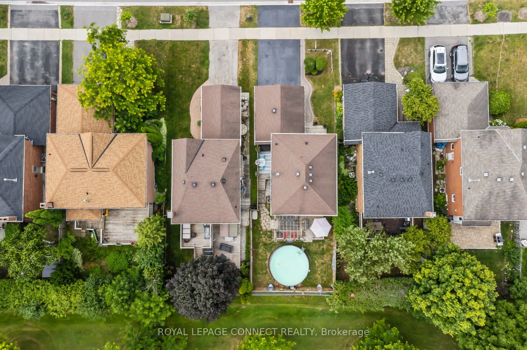 22 Crawford Rose Drive