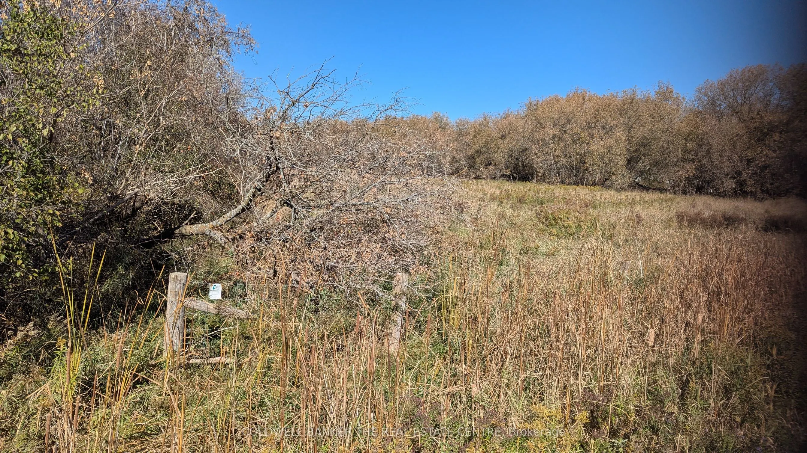 2884 County Rd 89